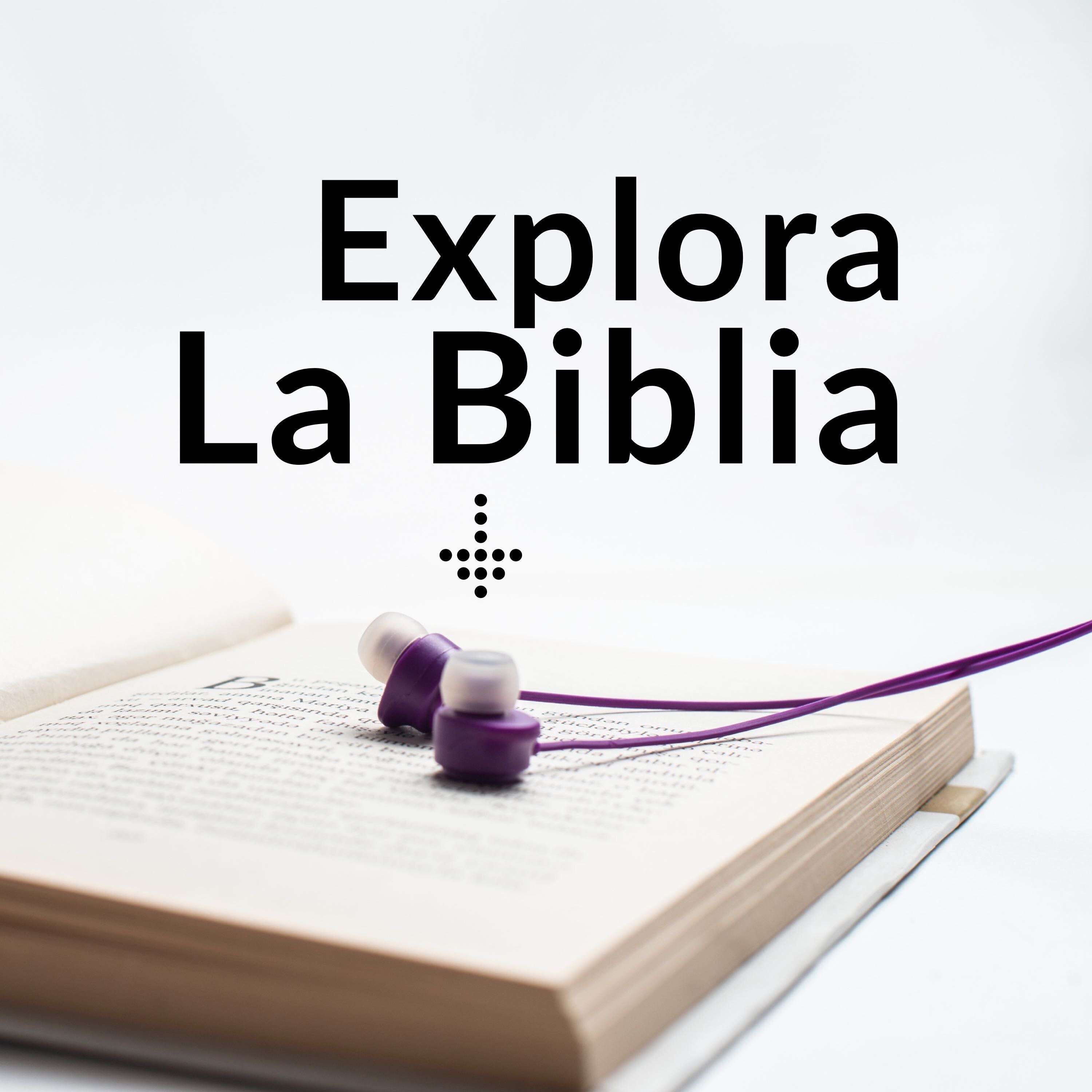 El bodeguero que se convirtió en un destacado traductor de la Biblia