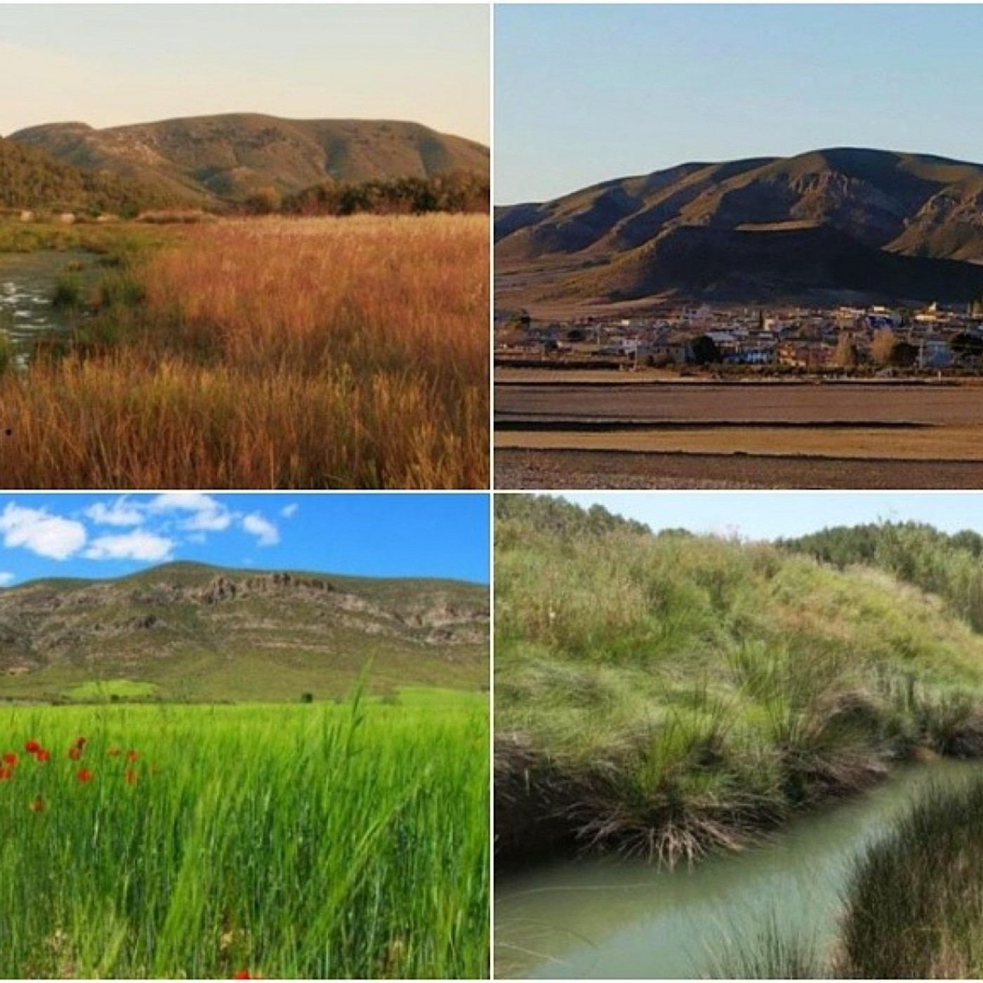 ⁣TARDE ABIERTA T04C223 Los vecinos de Doña Inés, en defensa del Cerro del Tornajo en Lorca (17/07/2023)