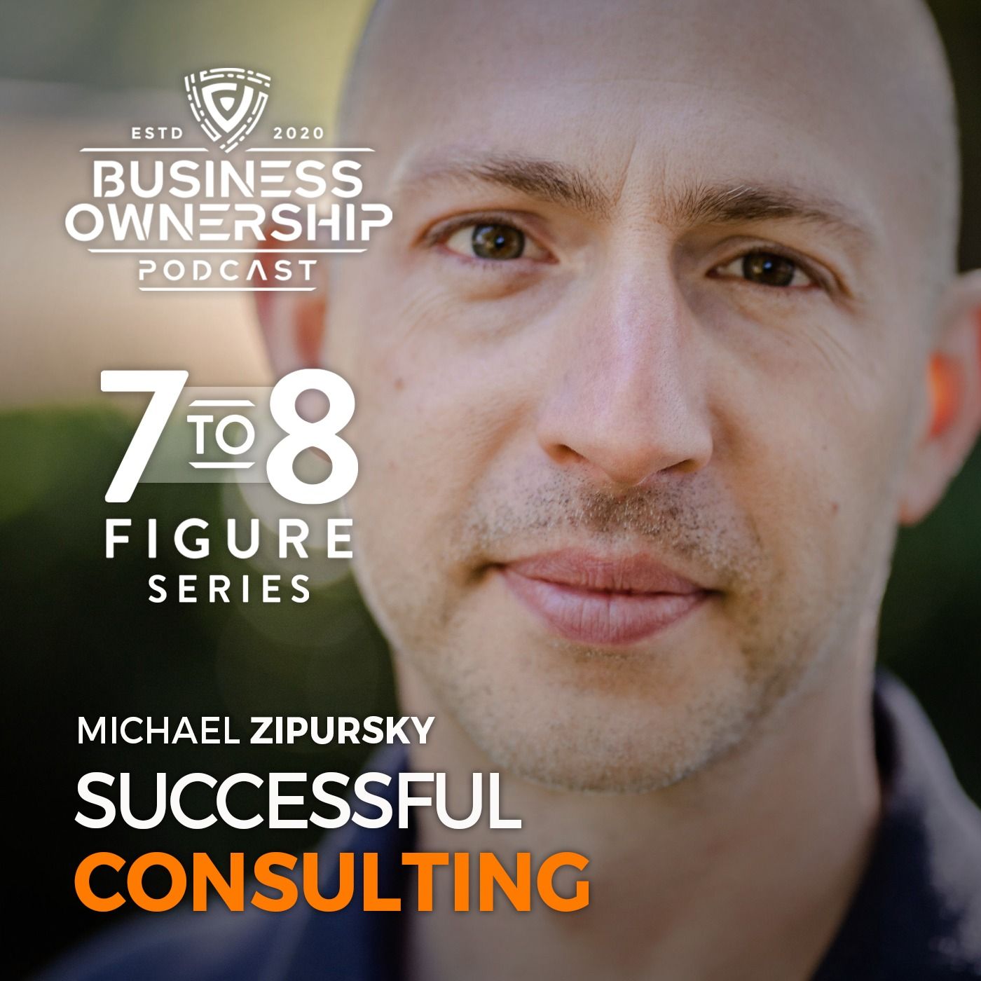 Successful Consulting - Michael Zipursky 7-8 Figure Special Series