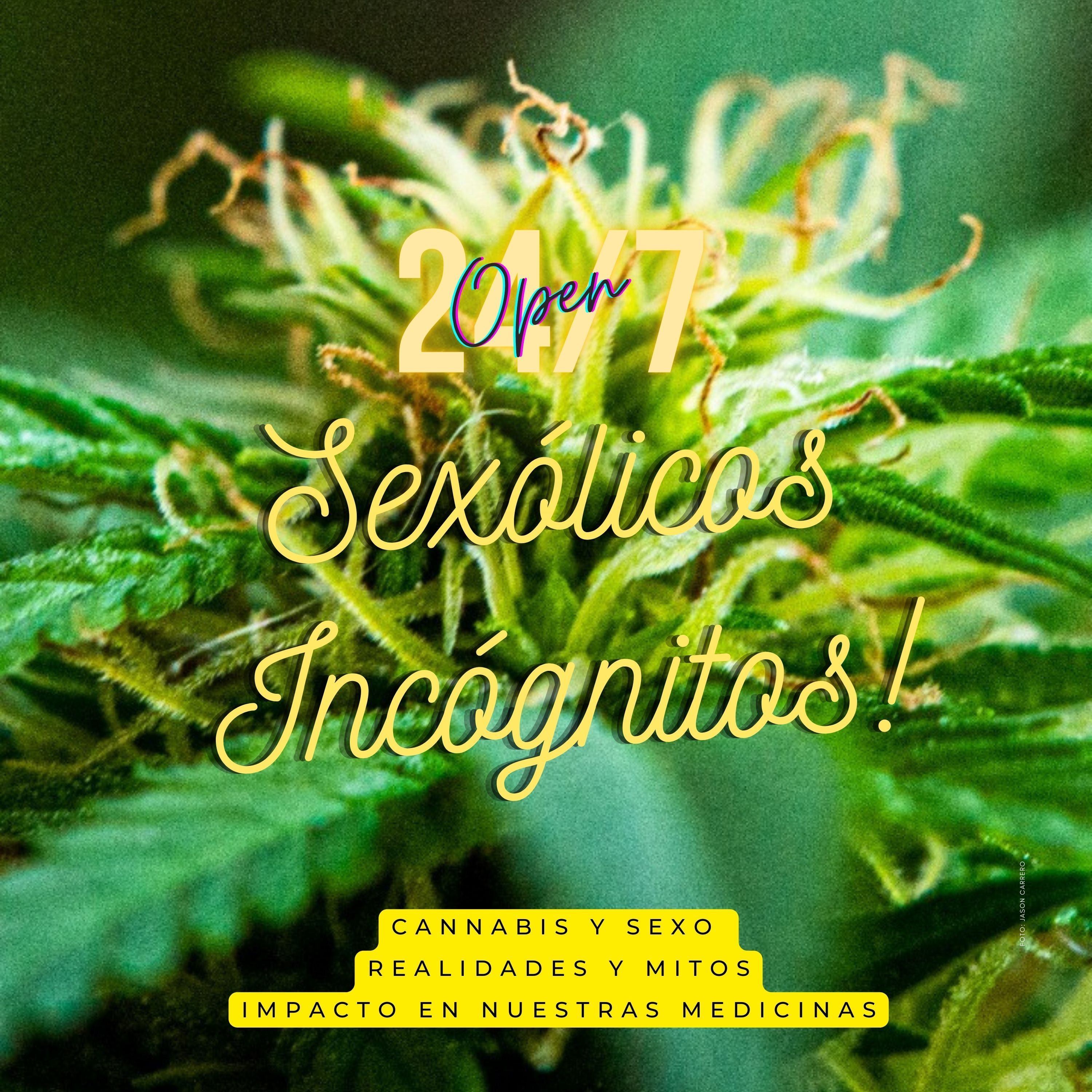 Episodio 19: El Impacto Del Cannabis En Nuestras Medicinas