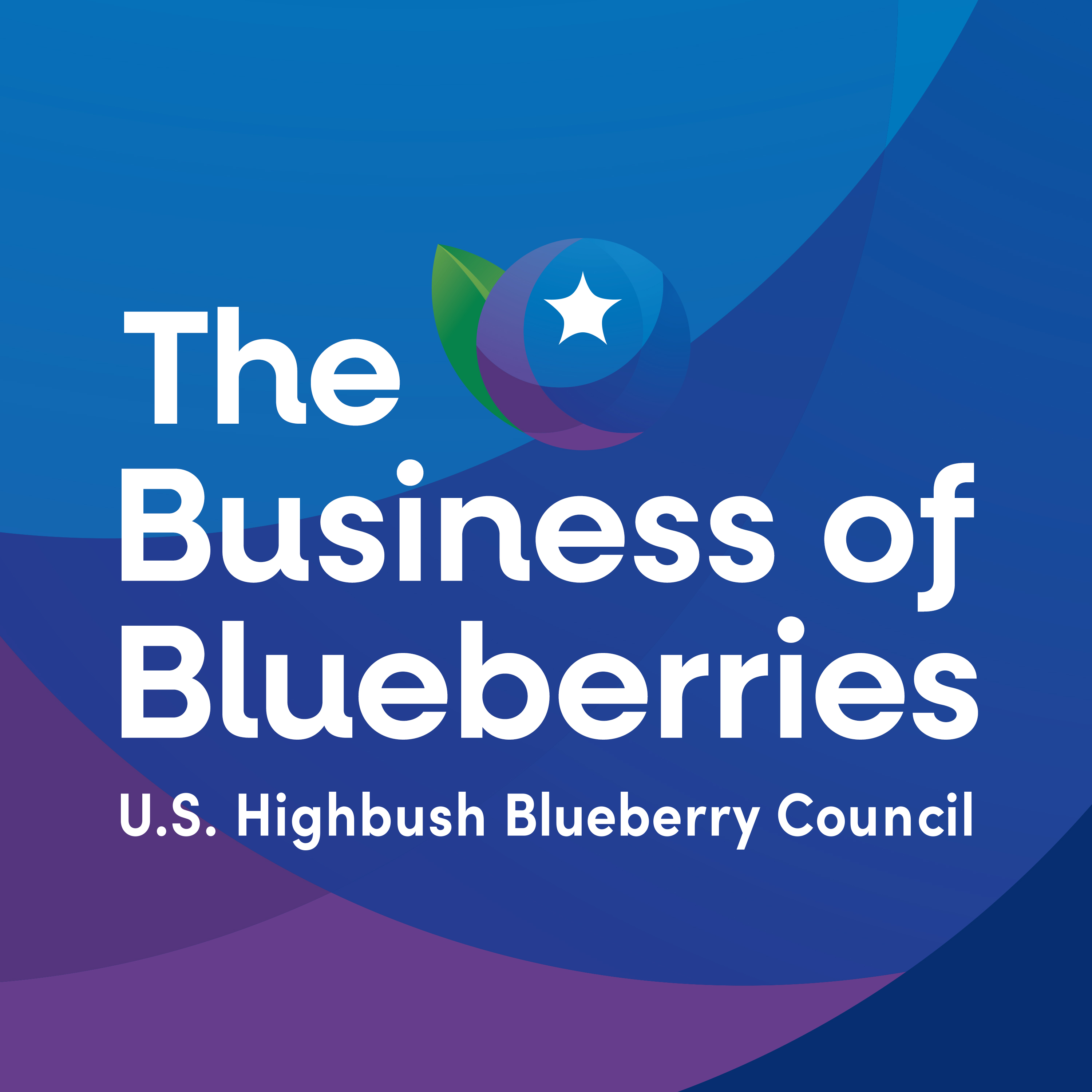 The Business of Blueberries 