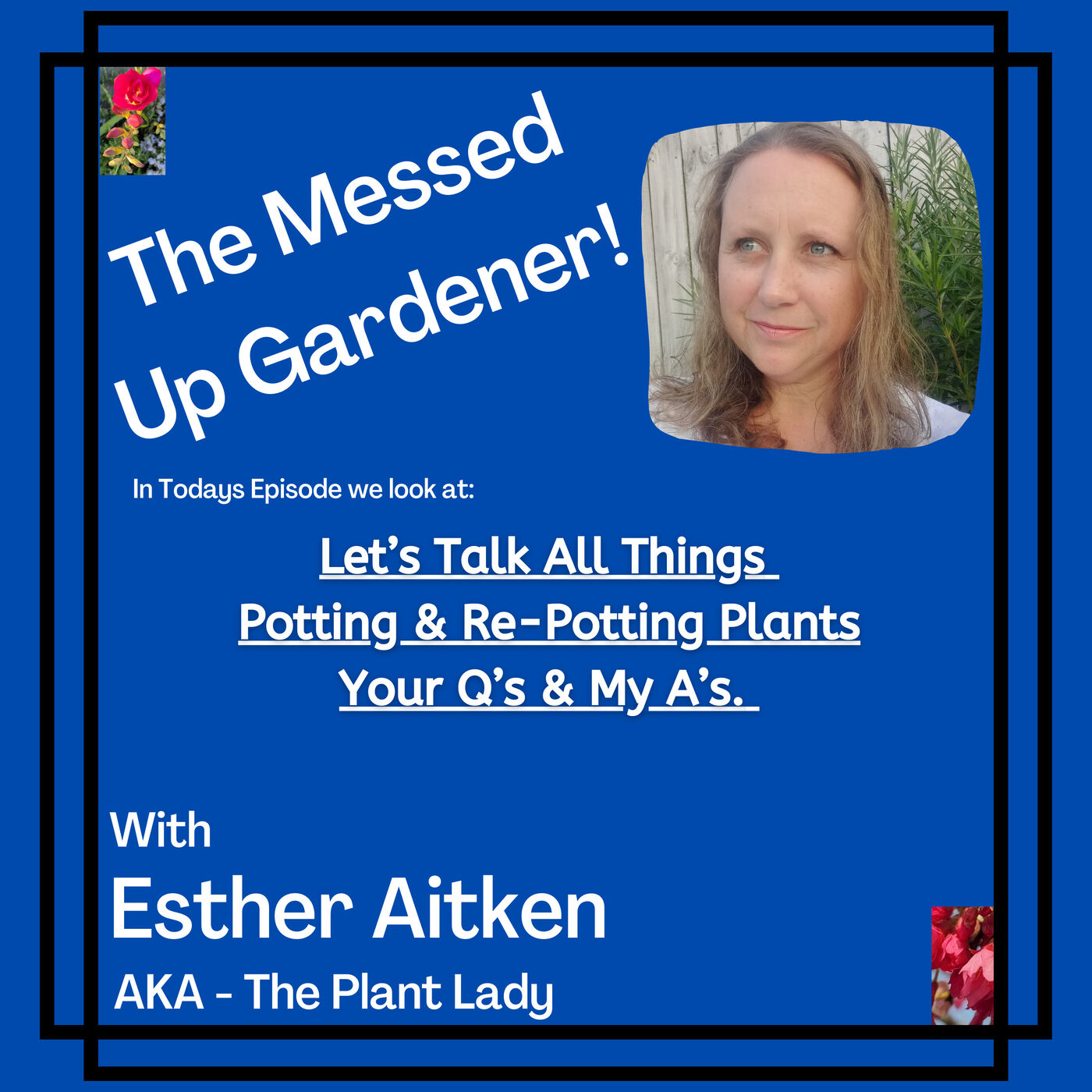 Ep 36 - Let’s Talk All Things Potting & Re-Potting Plants - Your Q’s & My A’s.