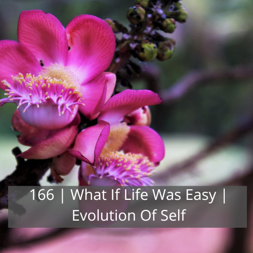 166 | What If LIfe Was Easy | Evolution Of Self