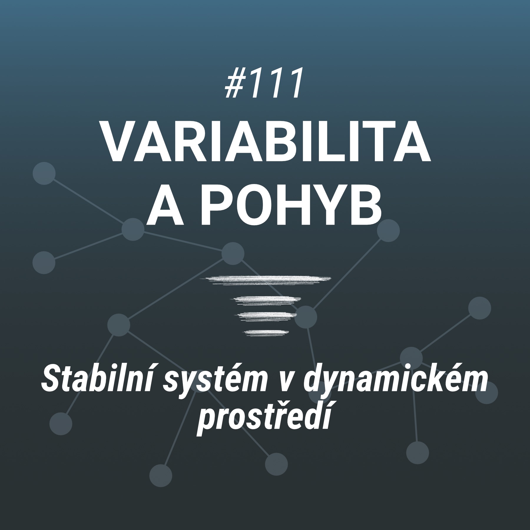 Variabilita v pohybu a tréninku - #111