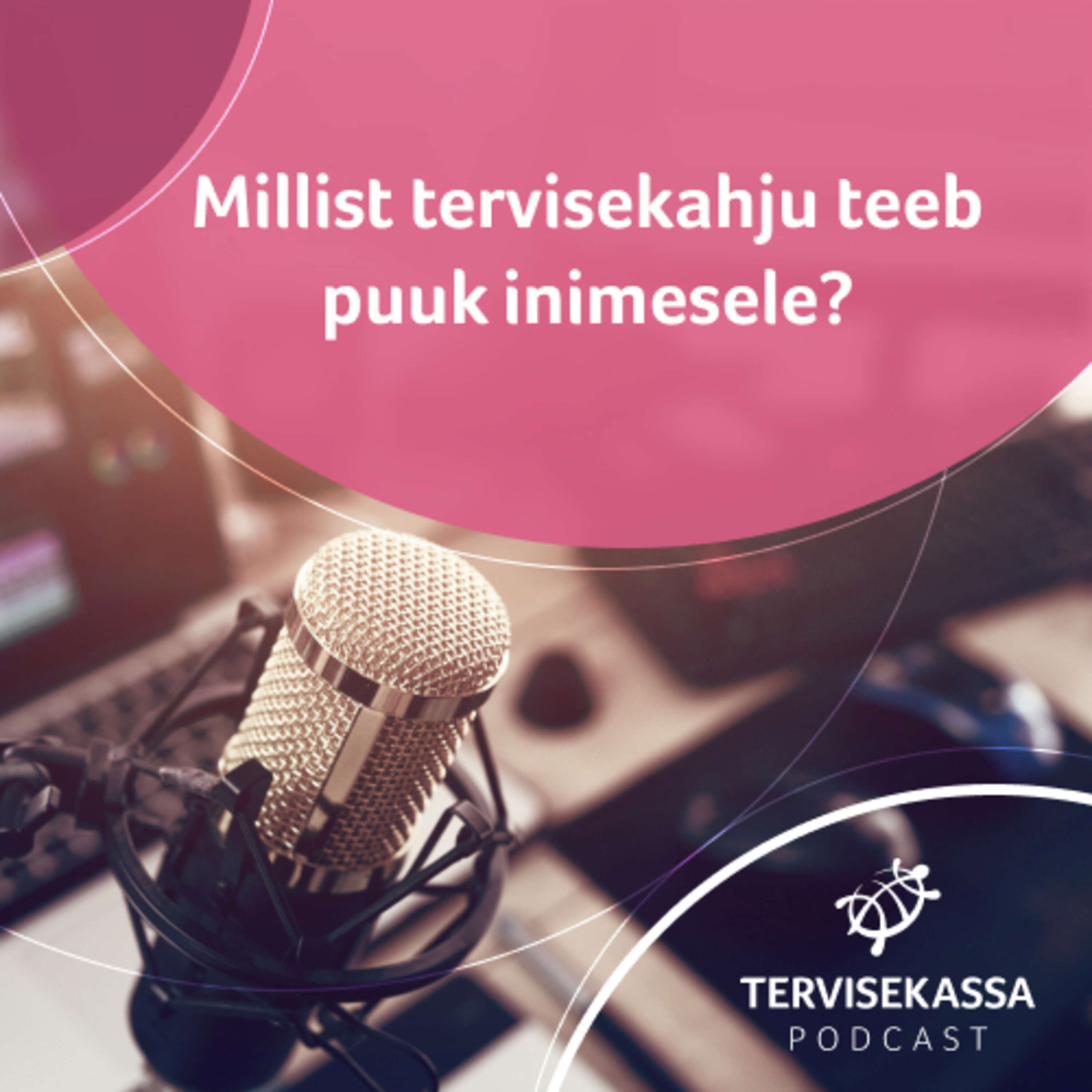 #34 Millist tervisekahju teeb puuk inimesele?