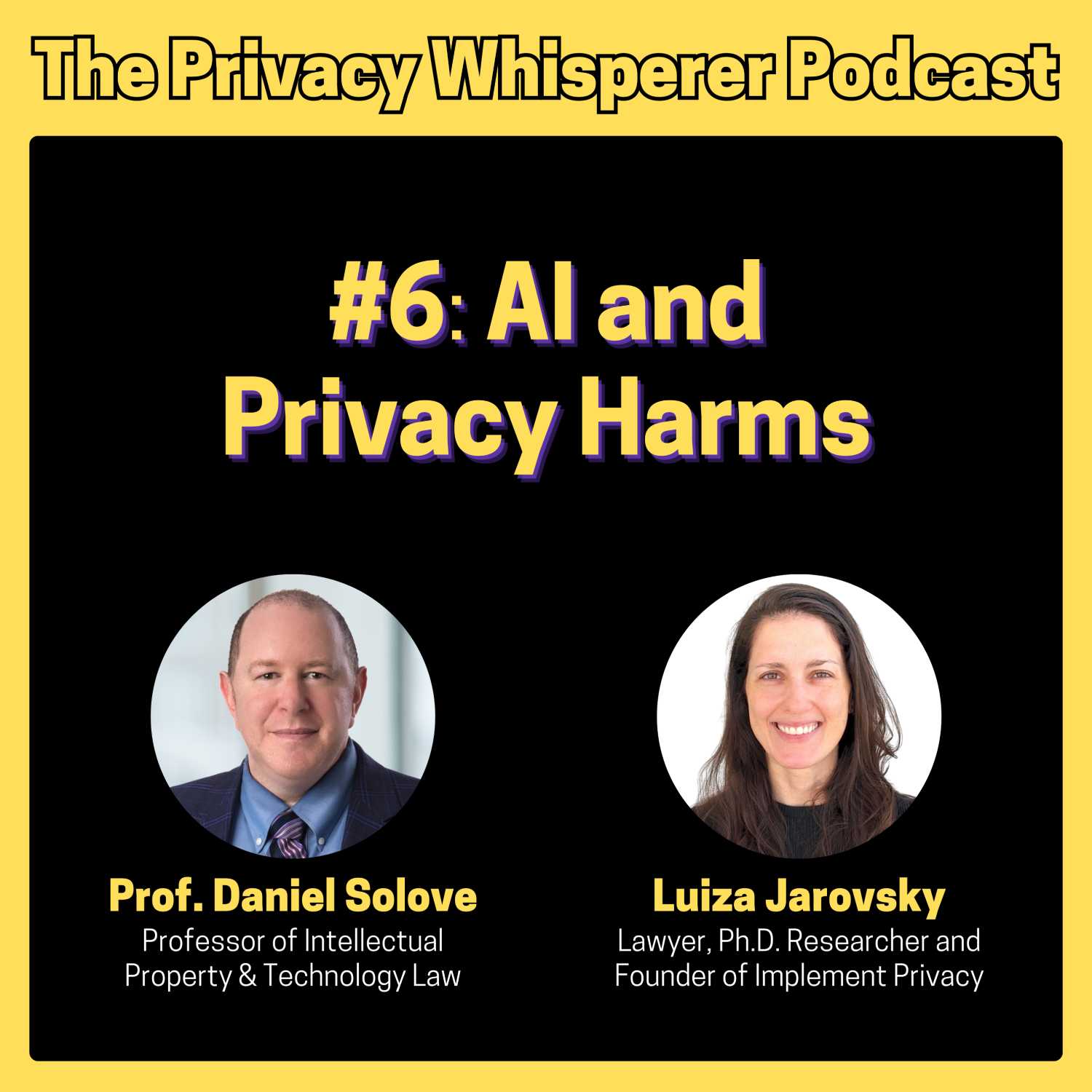 #6: AI and Privacy Harms, with Prof. Daniel Solove