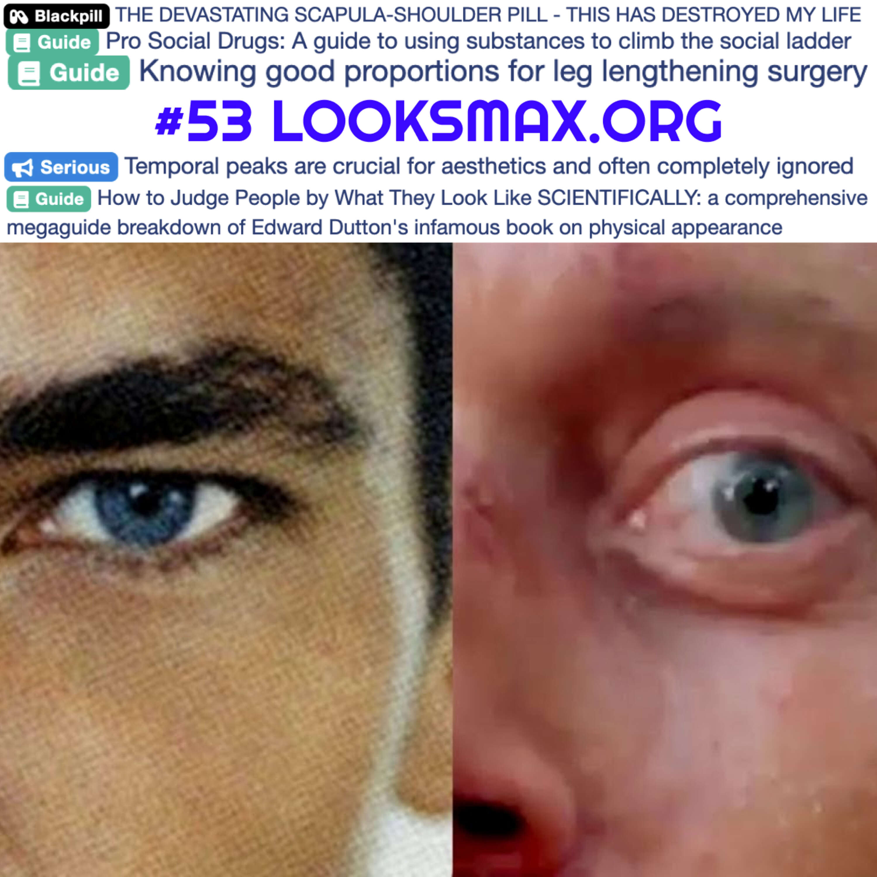 #53 Looksmax.org