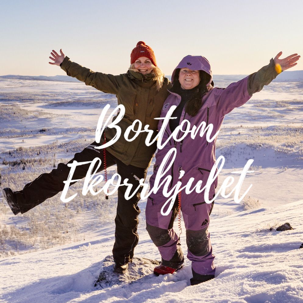 Bortom ekorrhjulet 