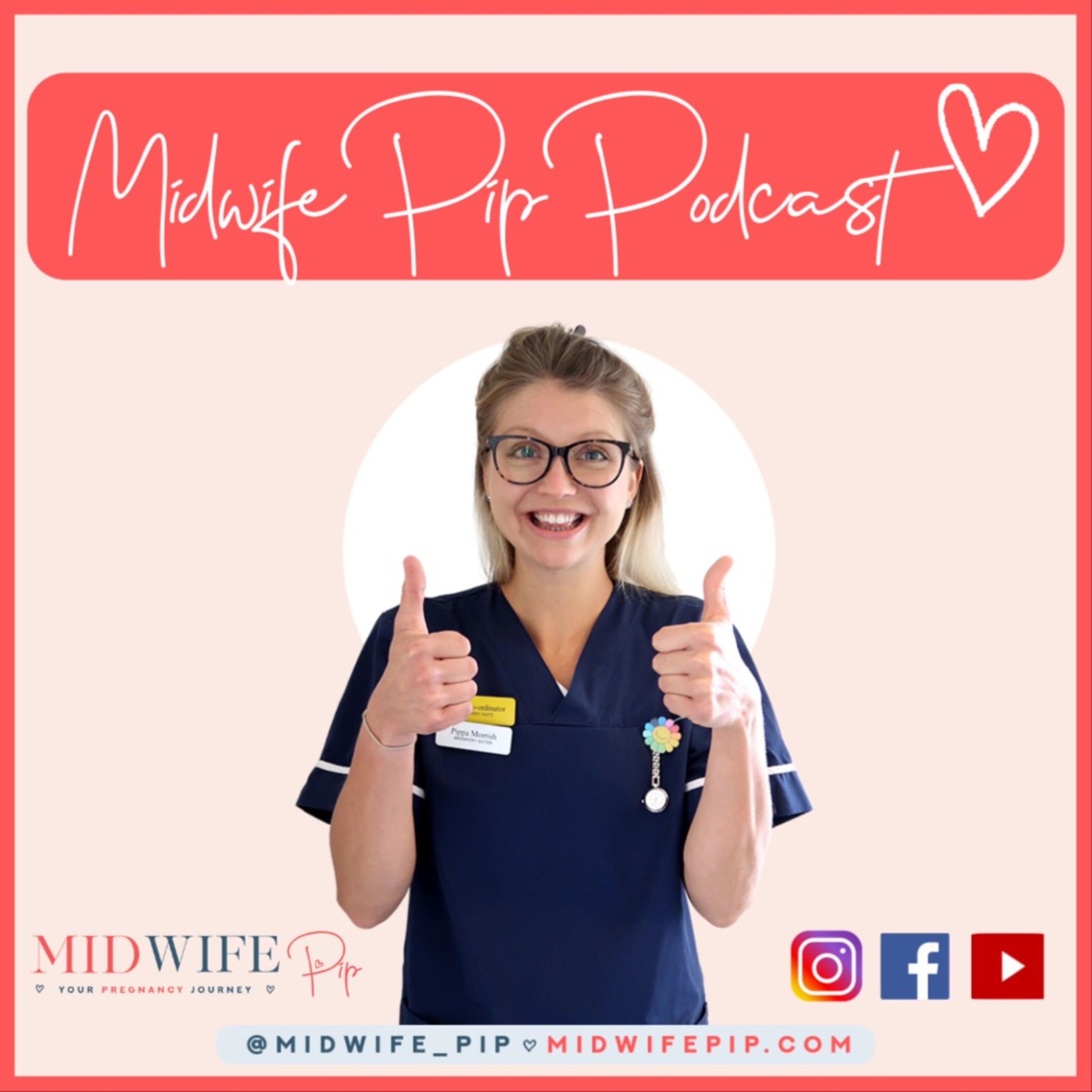 ⁣E118. Midwife Pip's Pregnancy Journal