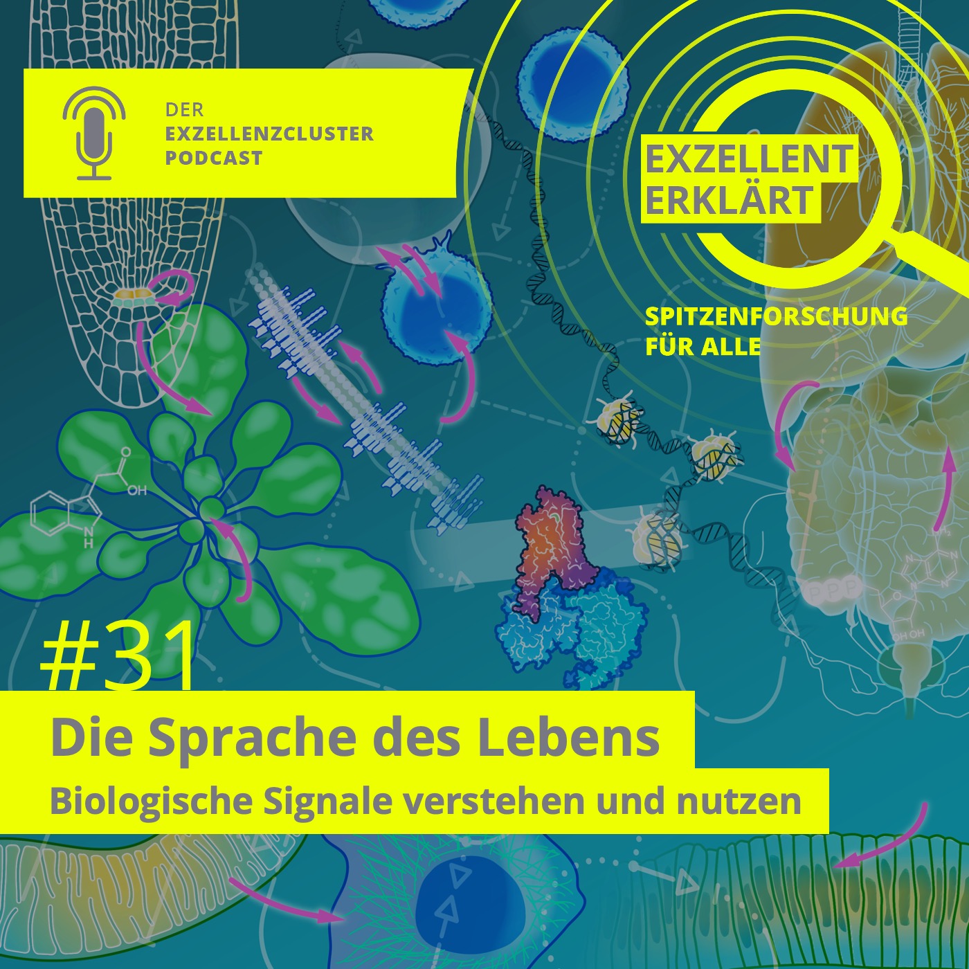 Die Sprache des Lebens - Biologische Signale erkennen und nutzen