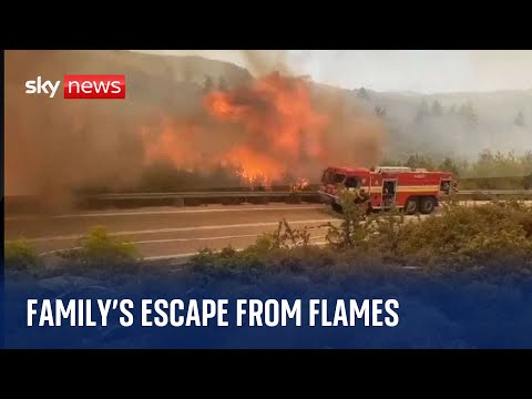 Greece Wildfires: 'It was pretty mental' - says family who escaped the flames