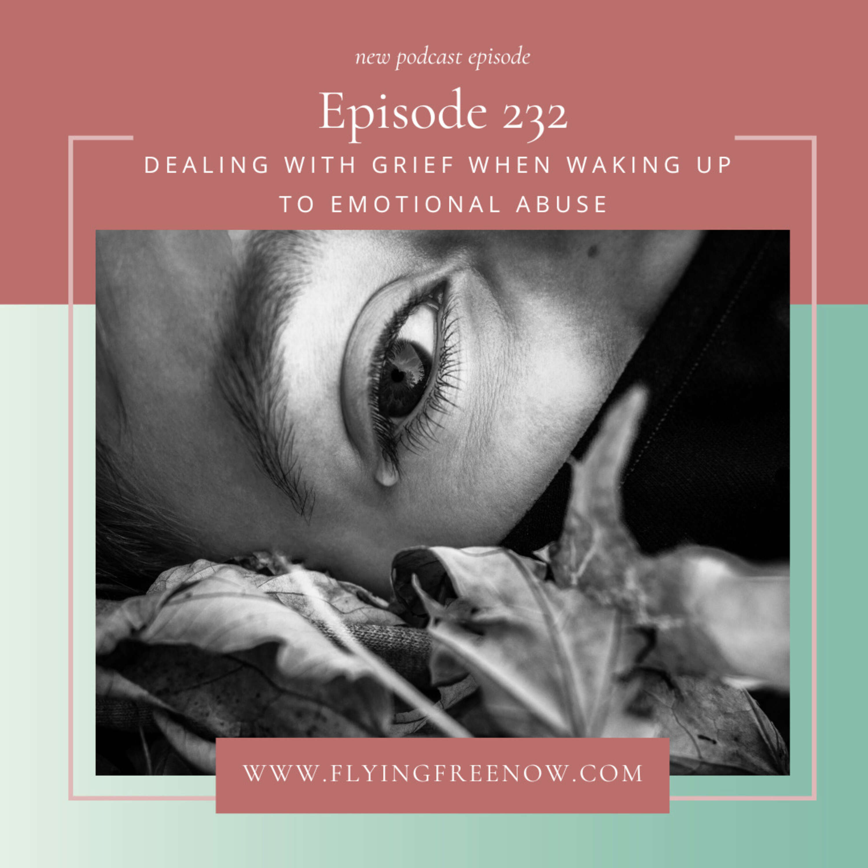 Dealing with Grief When Waking up to Emotional Abuse