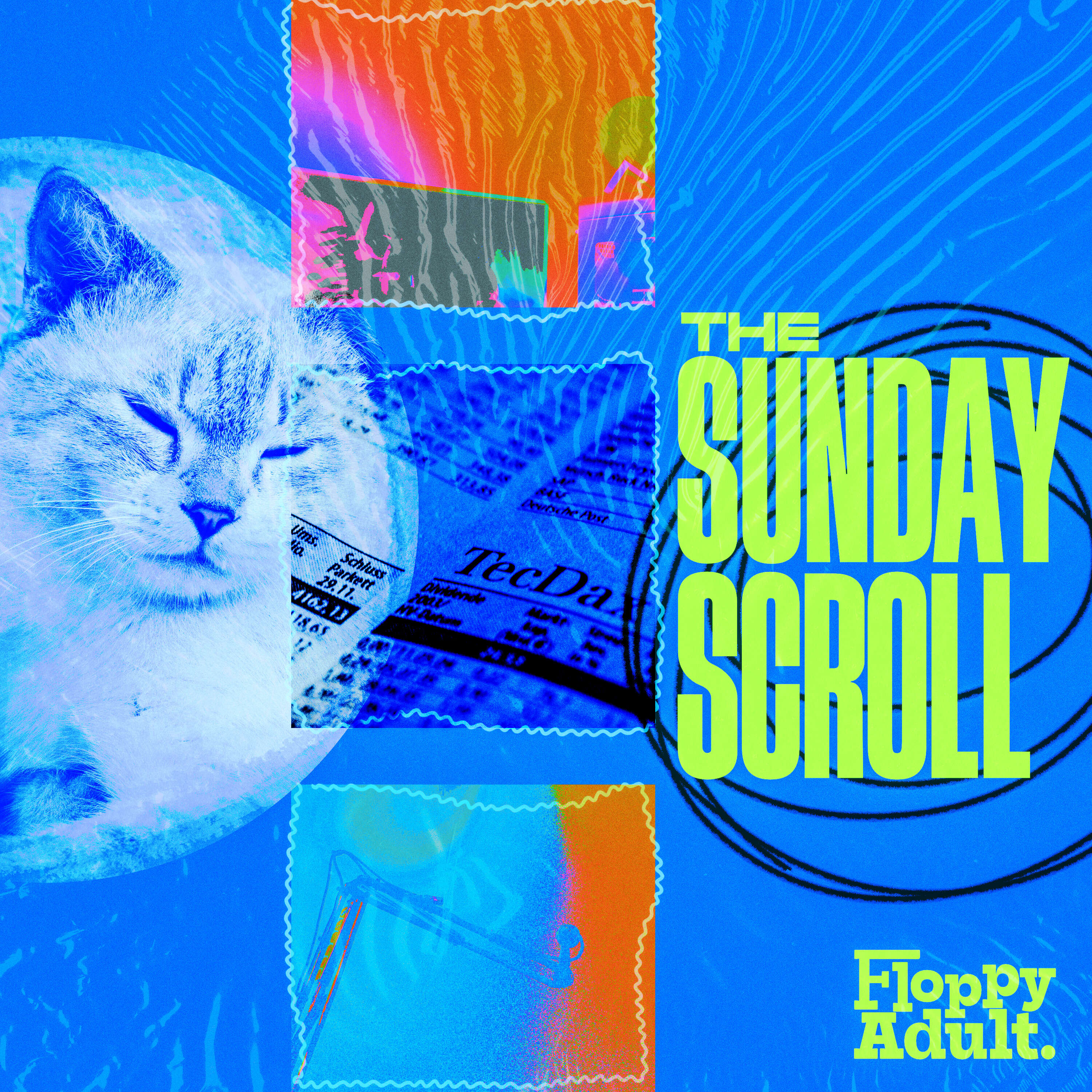 The Sunday Scroll 