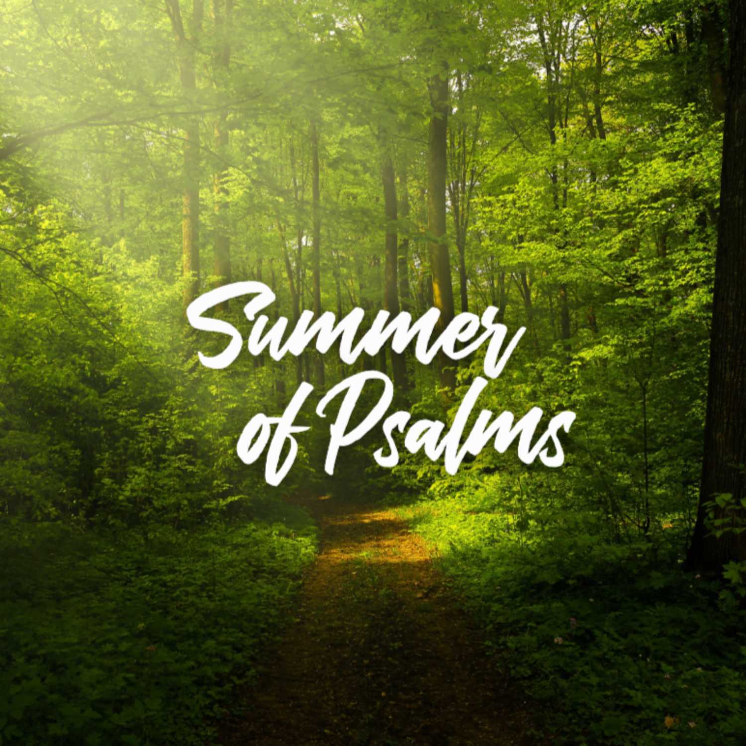 Psalm 113 - Summer of Psalms