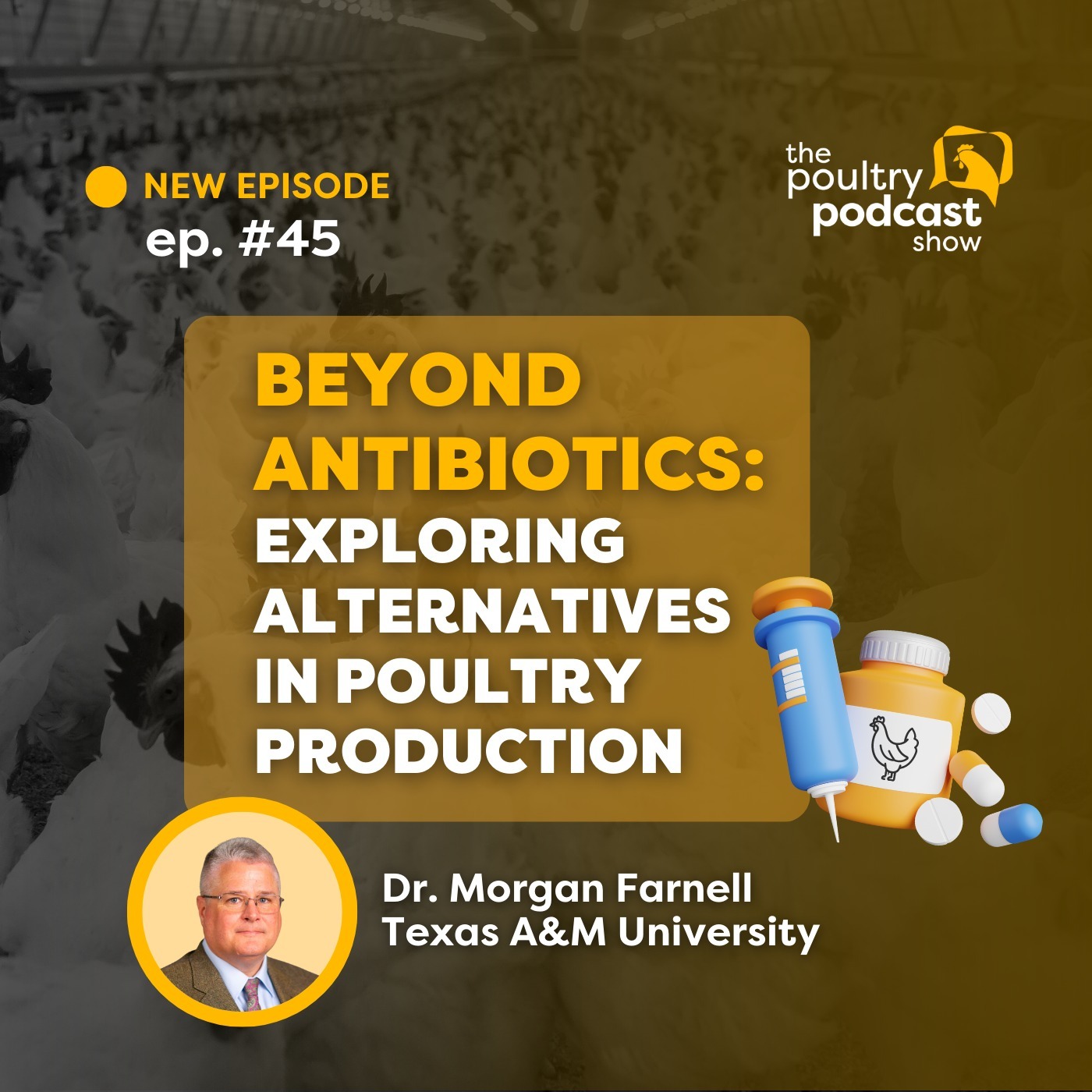 #45 - Beyond Antibiotics: Exploring Alternatives in Poultry Production - Dr. Morgan Farnell