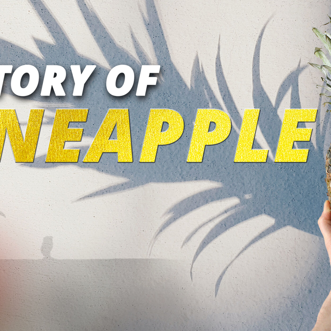 The Untold Story of Pineapples: From South America to European Luxury | Discover the History!