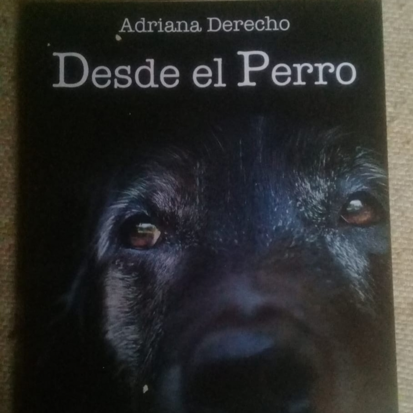 Entrevista a Adriana Derecho - Por Julio Alcalde