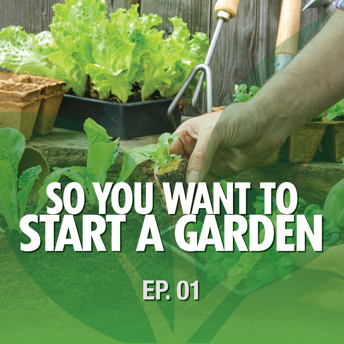 So You Want to Grow a Garden