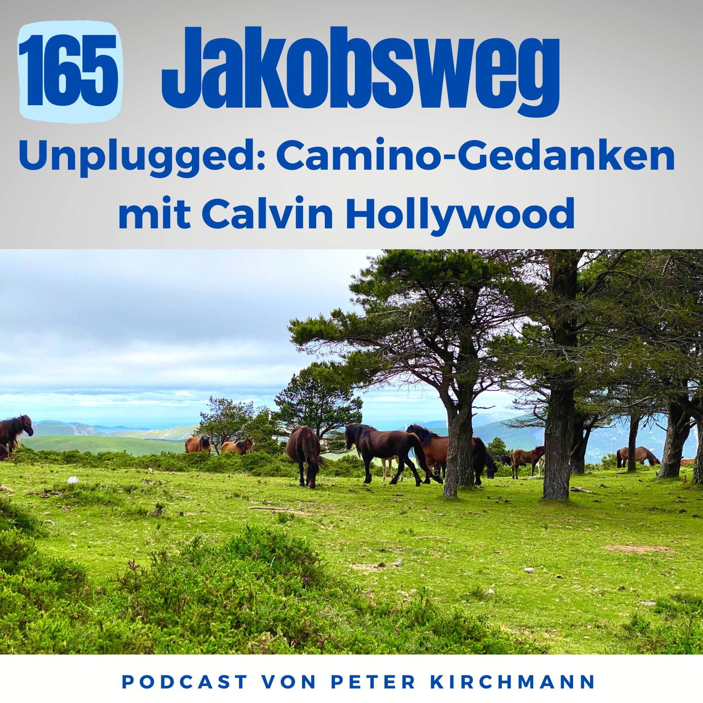 Unplugged: Jakobsweg Gedanken in Santiago de Compostela mit Calvin Hollywood (165)