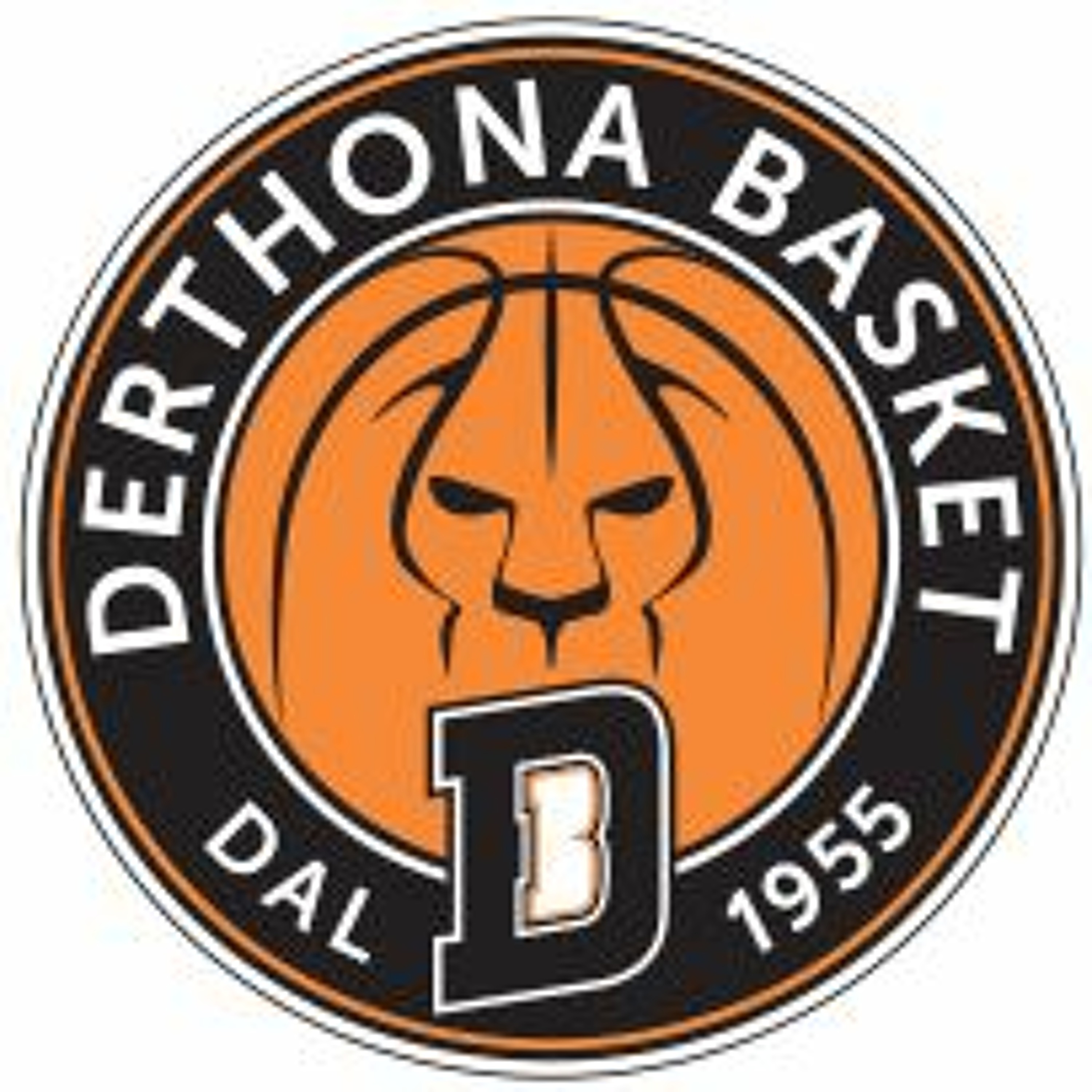 Derthona Basket: il punto sul mercato