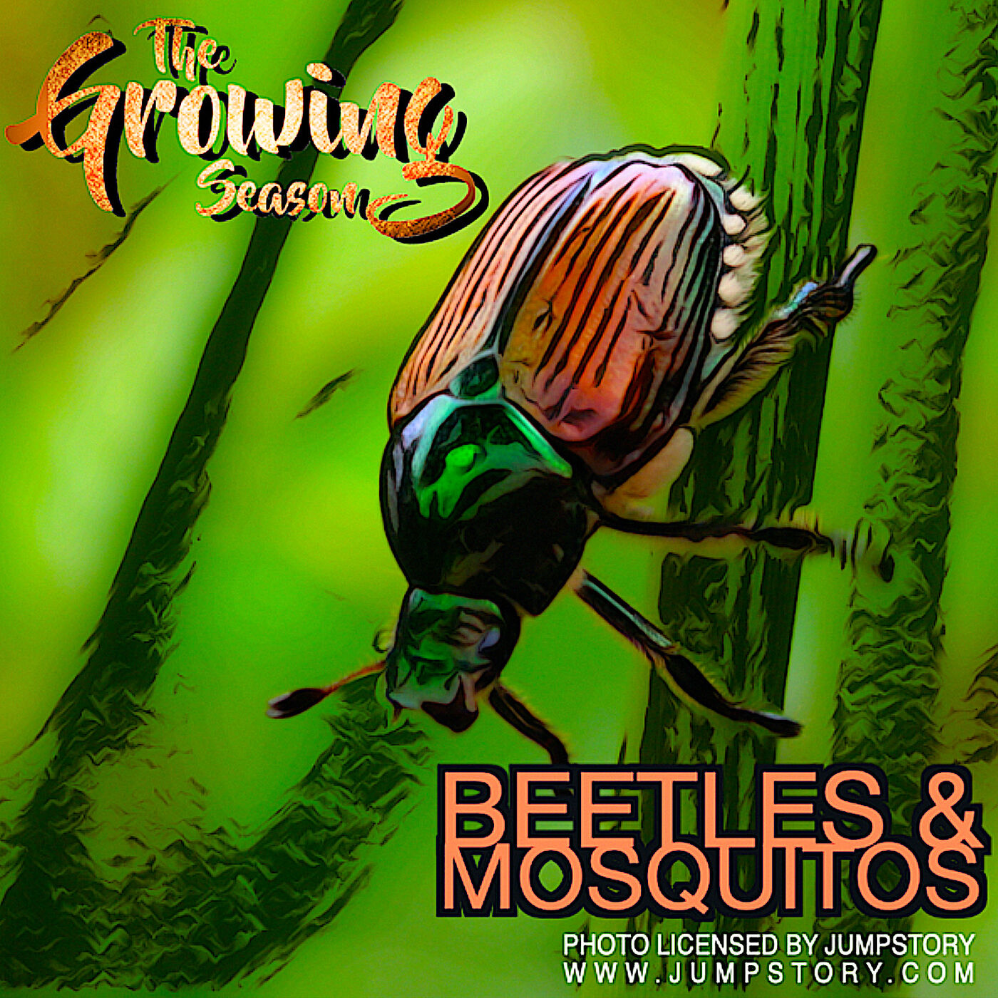 The Growing Season, July 29, 2023 - Beetles And Mosquitos