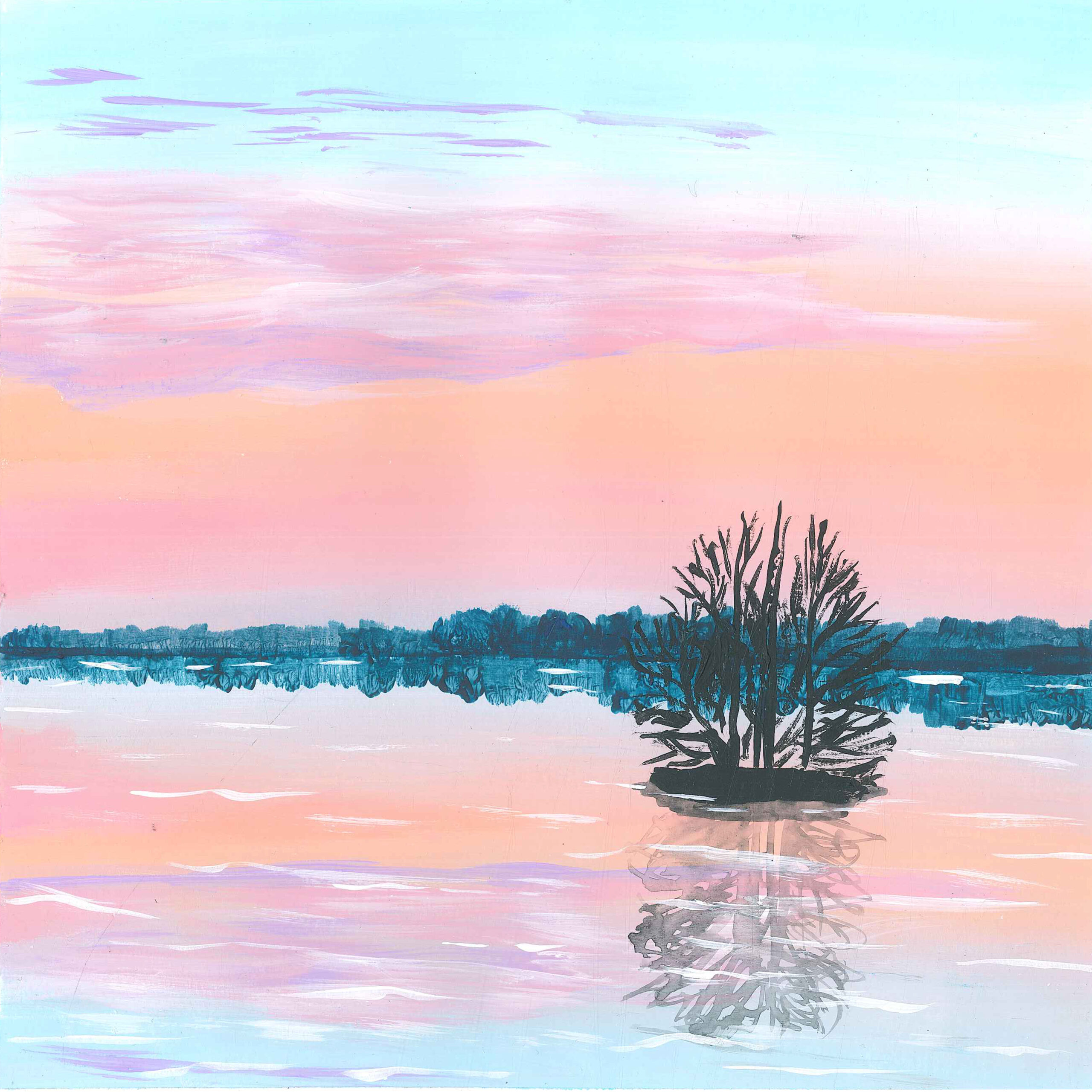 Nocturnal Fusion Over the Black Pond