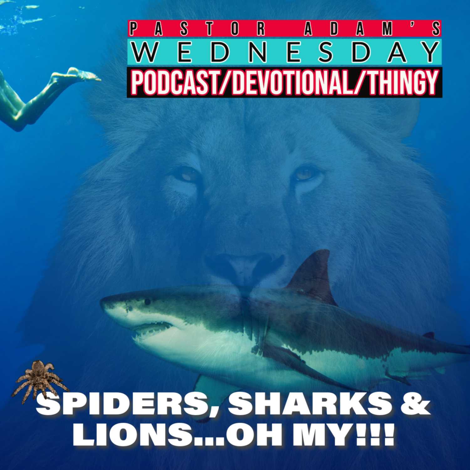 ⁣Spiders, Sharks & Lions...Oh My!!!