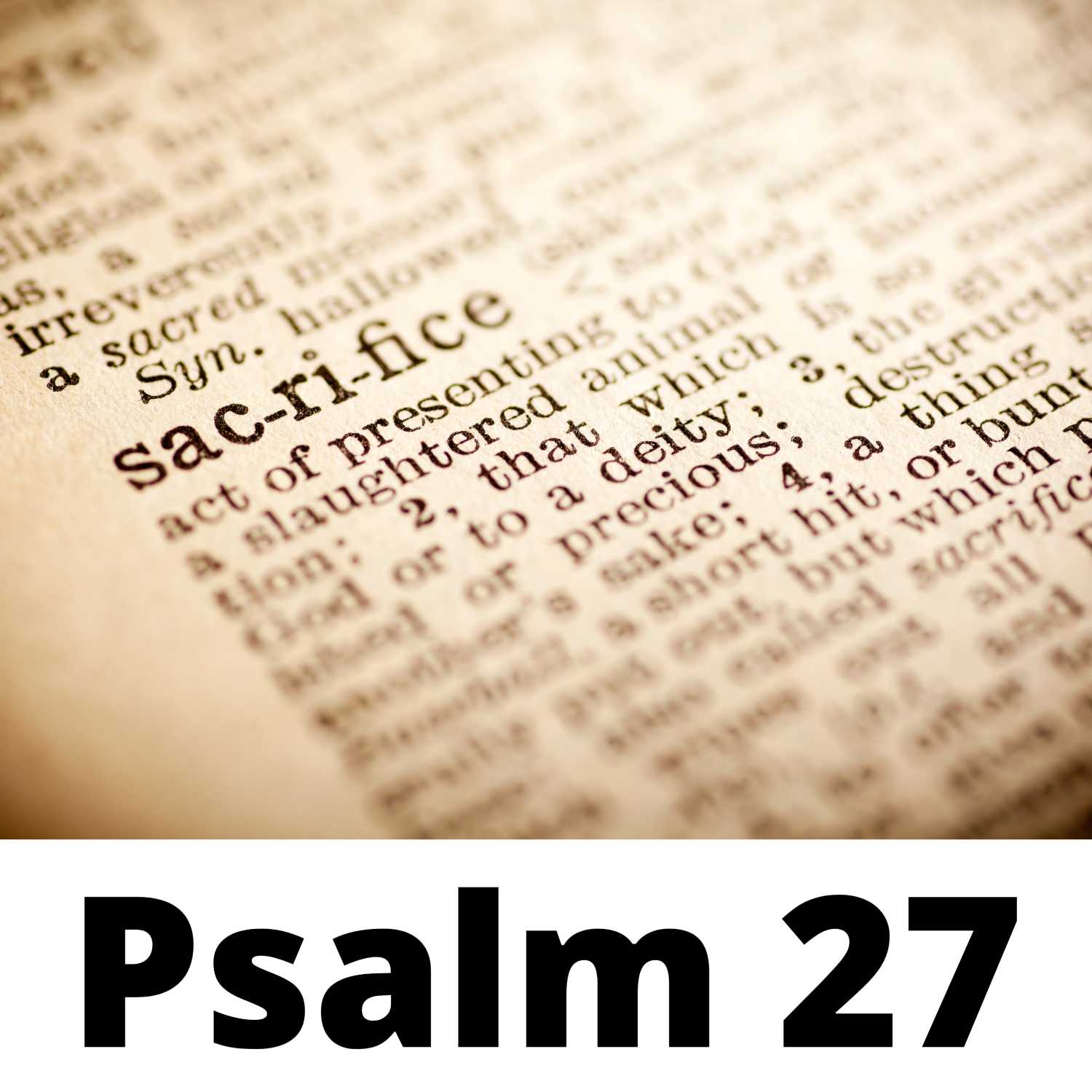 Beholding the Beauty of God - Psalm 27