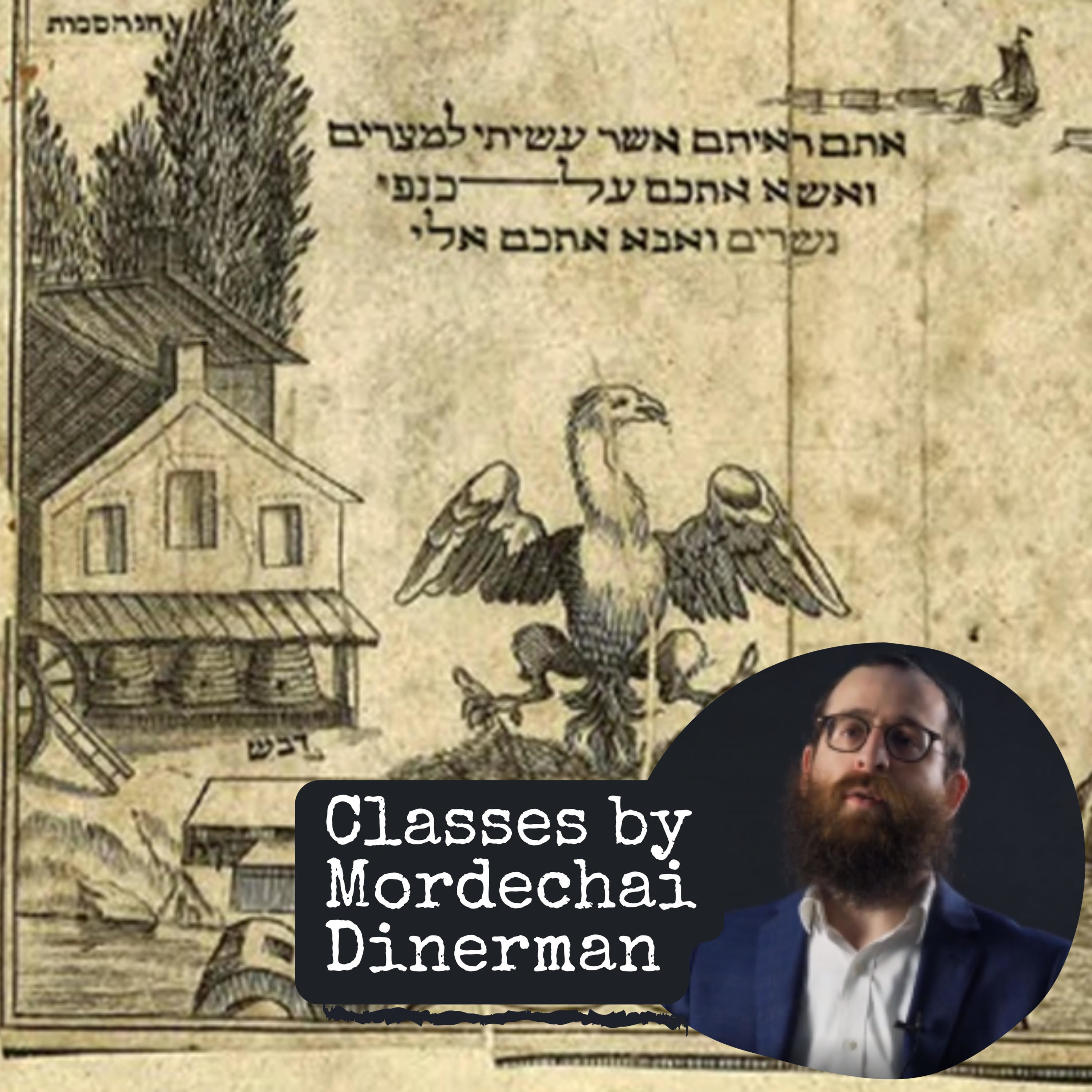 Classes by Mordechai Dinerman 