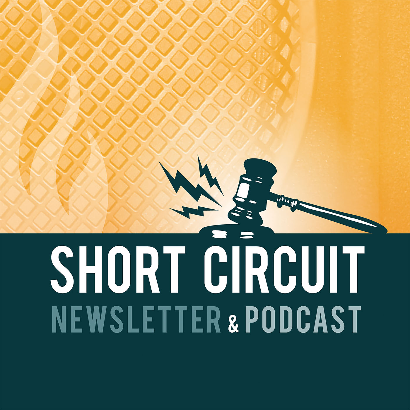 Short Circuit 282 | Sexy Cops and Decades of Deference