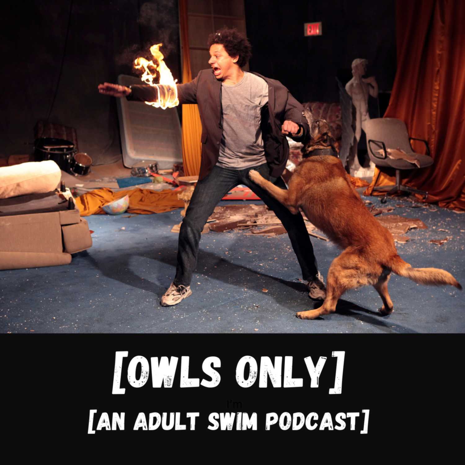 The Eric Andre Show Season 1 - Owls Only: An Adult Swim Podcast