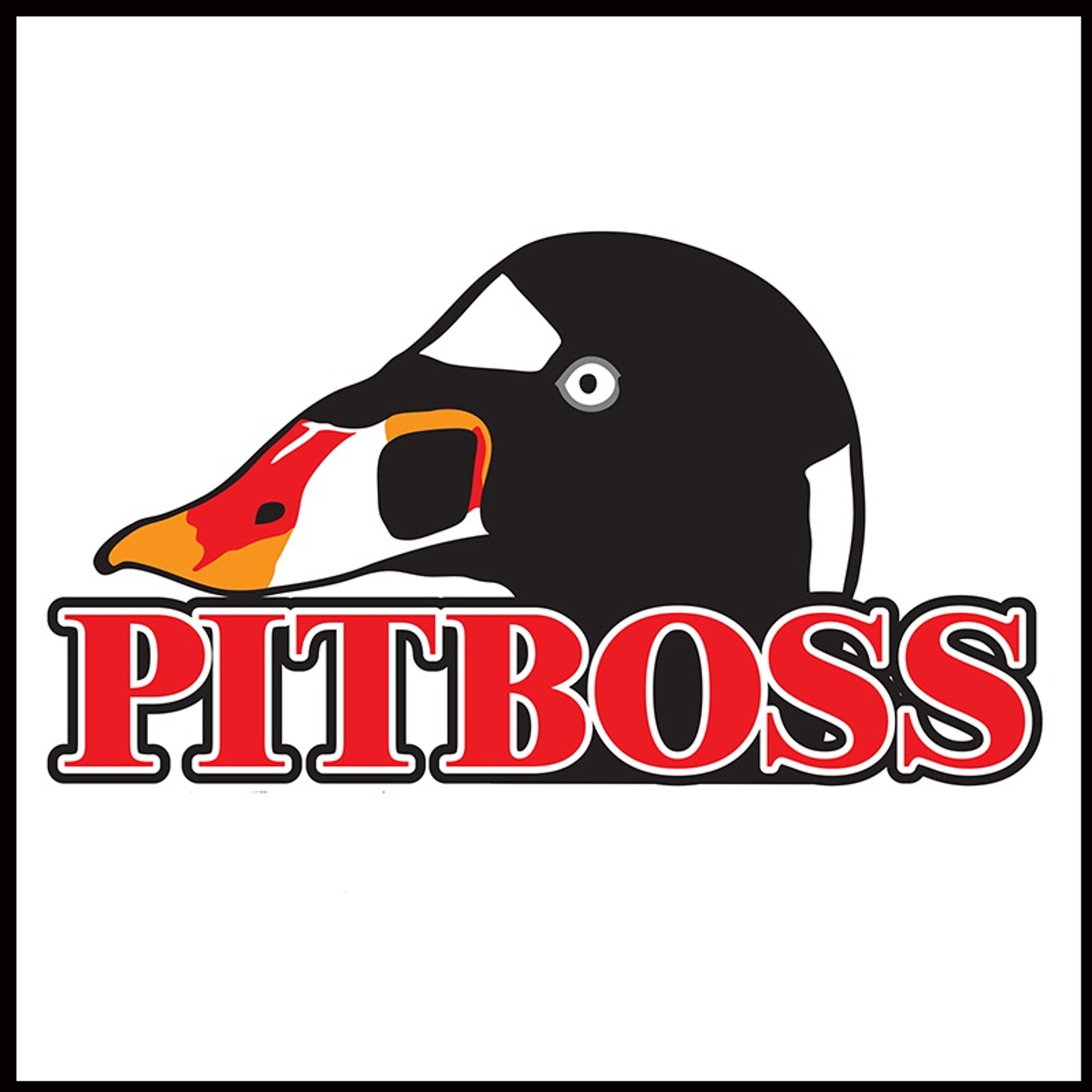 NEW "Decoy Carving Room" - Molly's presents the Pitboss Podcast