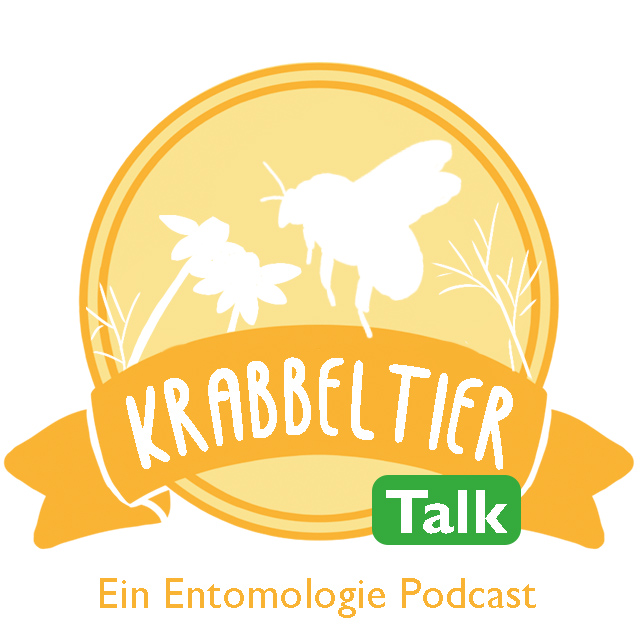 Den Wildbienen helfen? – Nisthilfen und Blütenflächen für Anfänger | Krabbeltier Talk #22