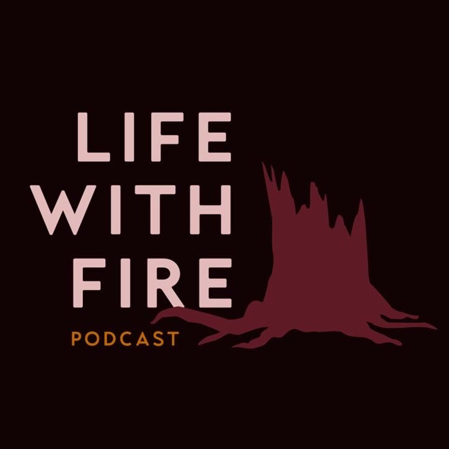 Community-Informed Wildfire Communications, With Isabeau Ottolini