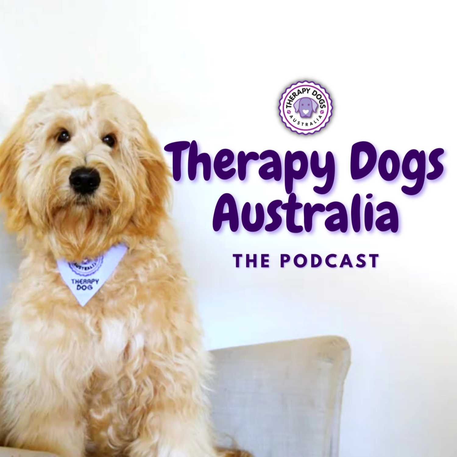 S2:E10 Supporting Therapy Dogs Through Holistic & Natural Health With Narelle Cooke