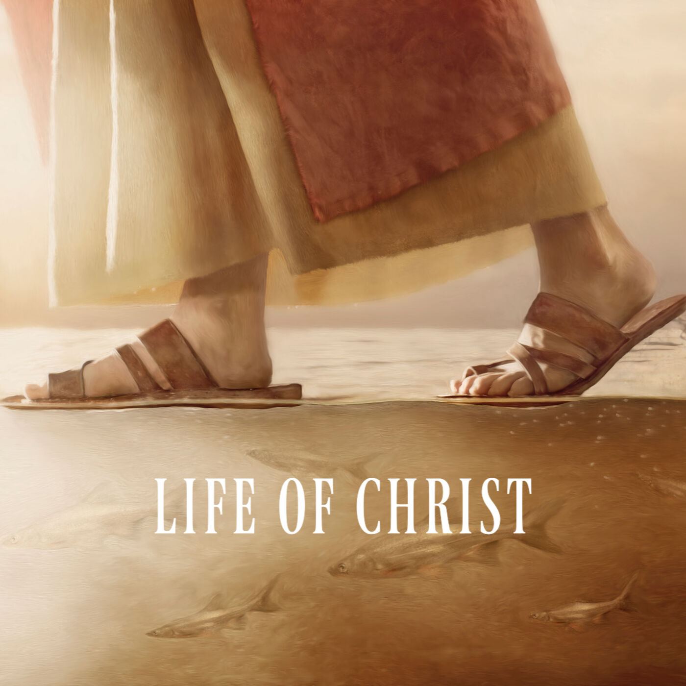 ⁣The Mustard Seed, the Leaven and You - Life of Christ Part 45