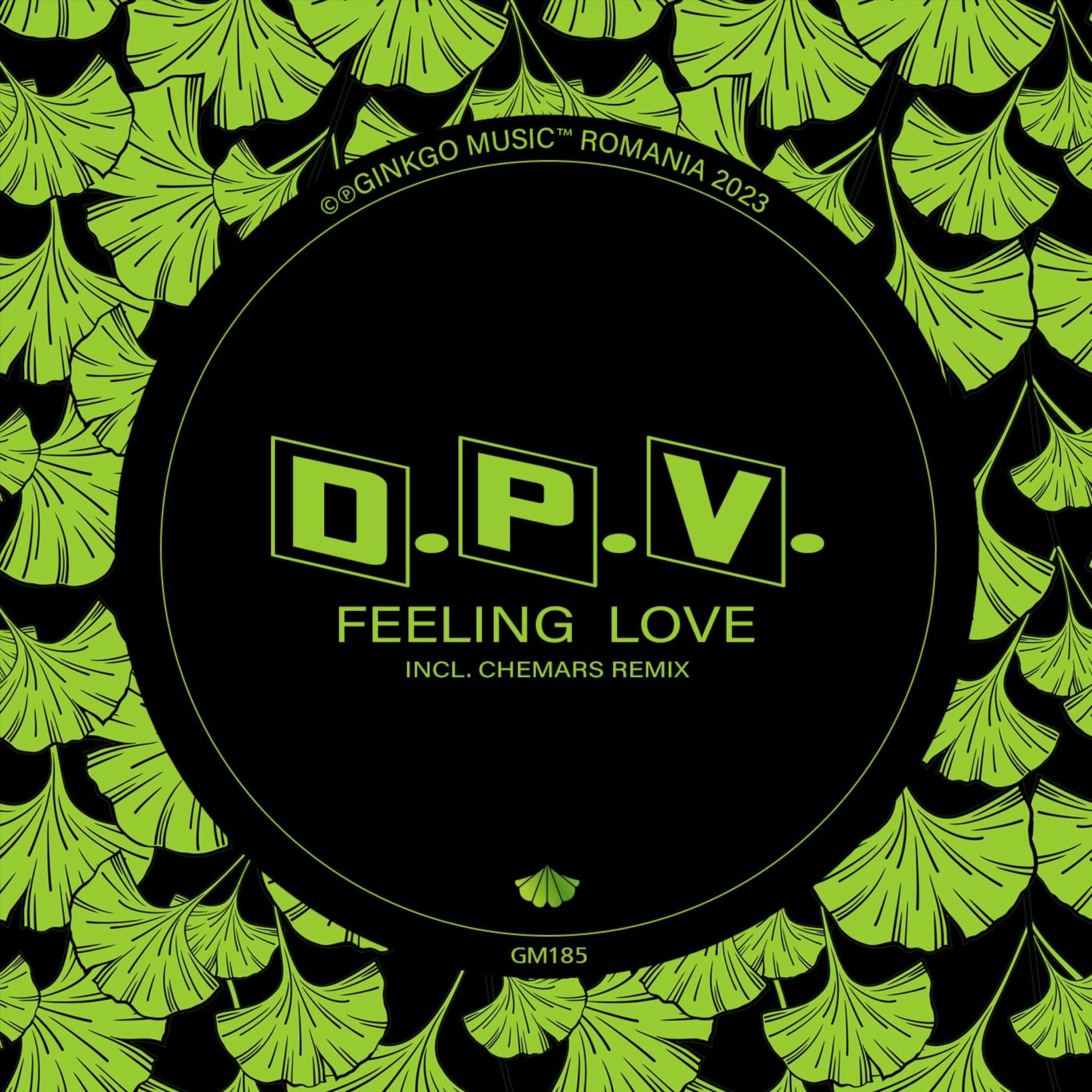 D.P.V. - Feeling Love