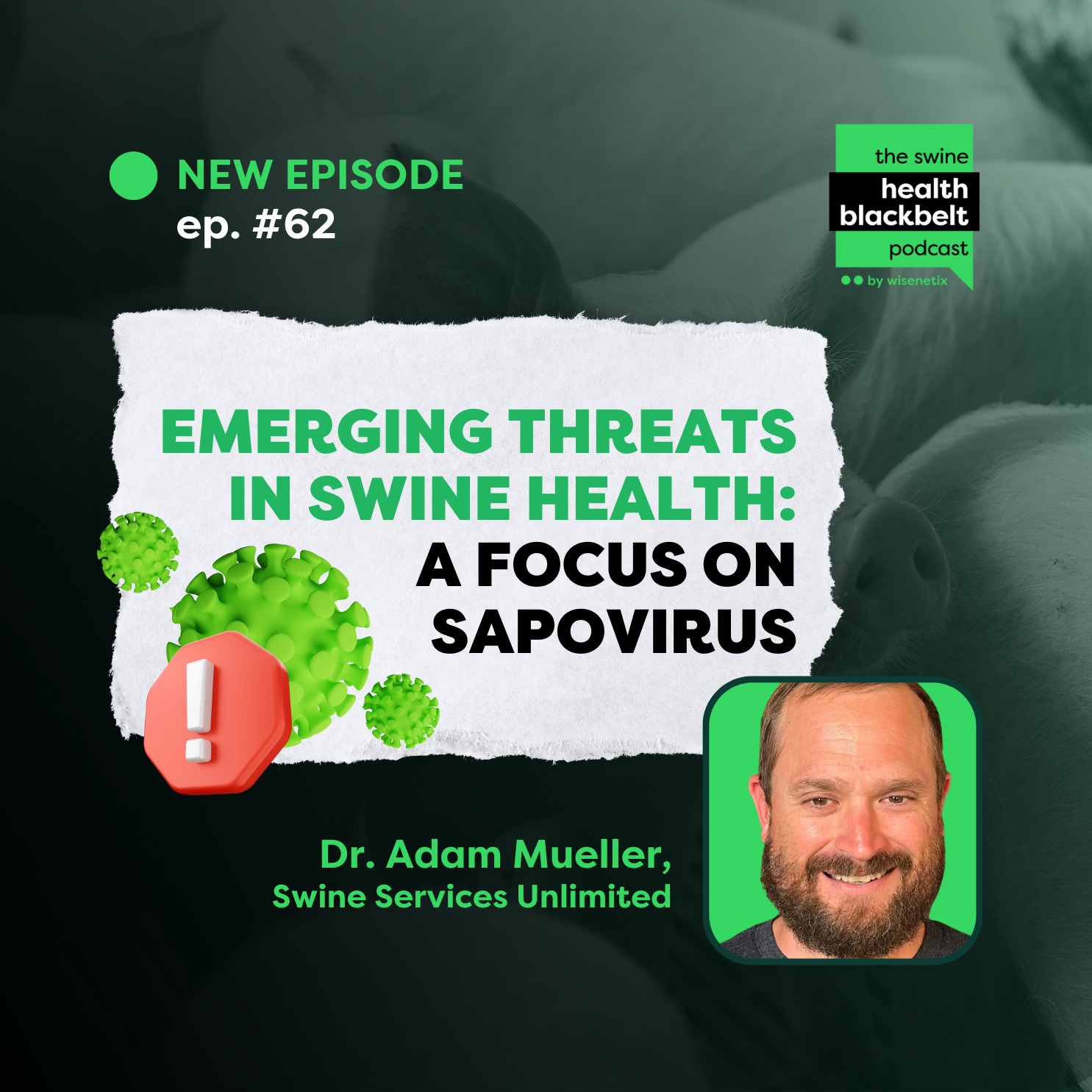 #62 - Emerging Threats in Swine Health: A Focus on Sapovirus - Dr. Adam Mueller