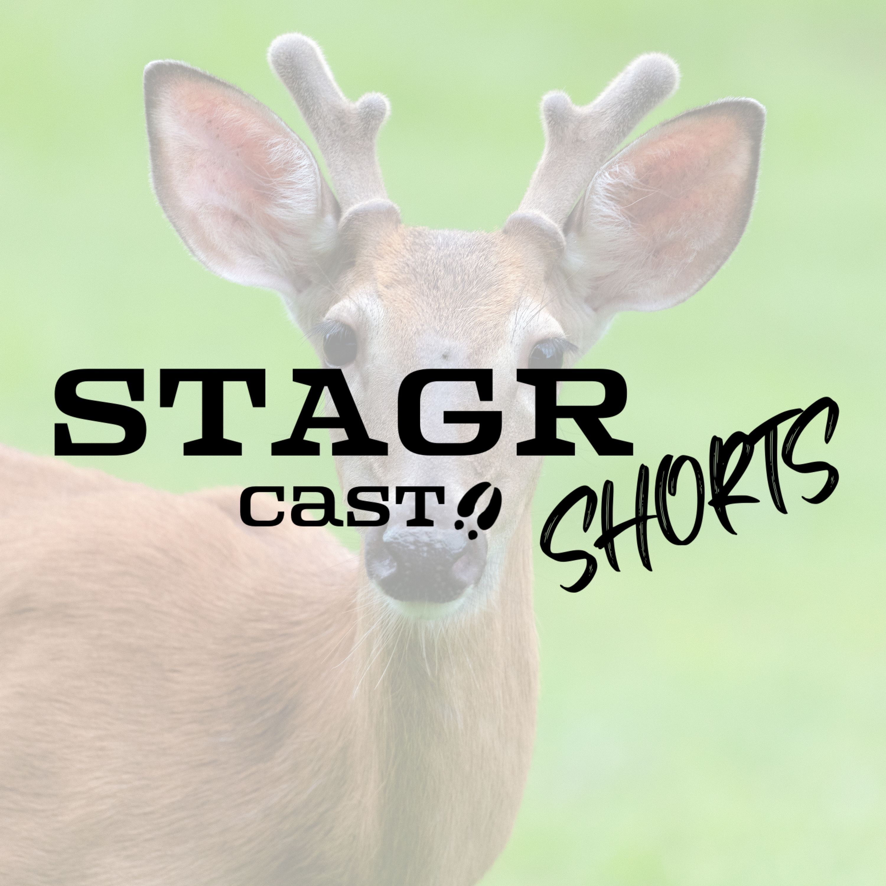 STAGR Cast Shorts #9