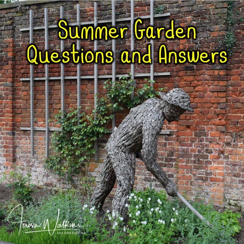 Better Lawns and Gardens - Hour 1 Summer Garden Questions and Answers July 1, 2023