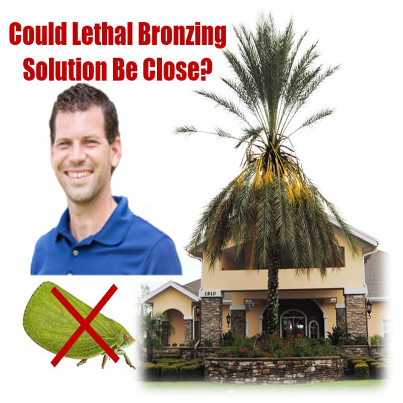 Better Lawns and Gardens Hour 1 Dr. Brian Bahder Lethal Bronzing Discovery July 22, 2023