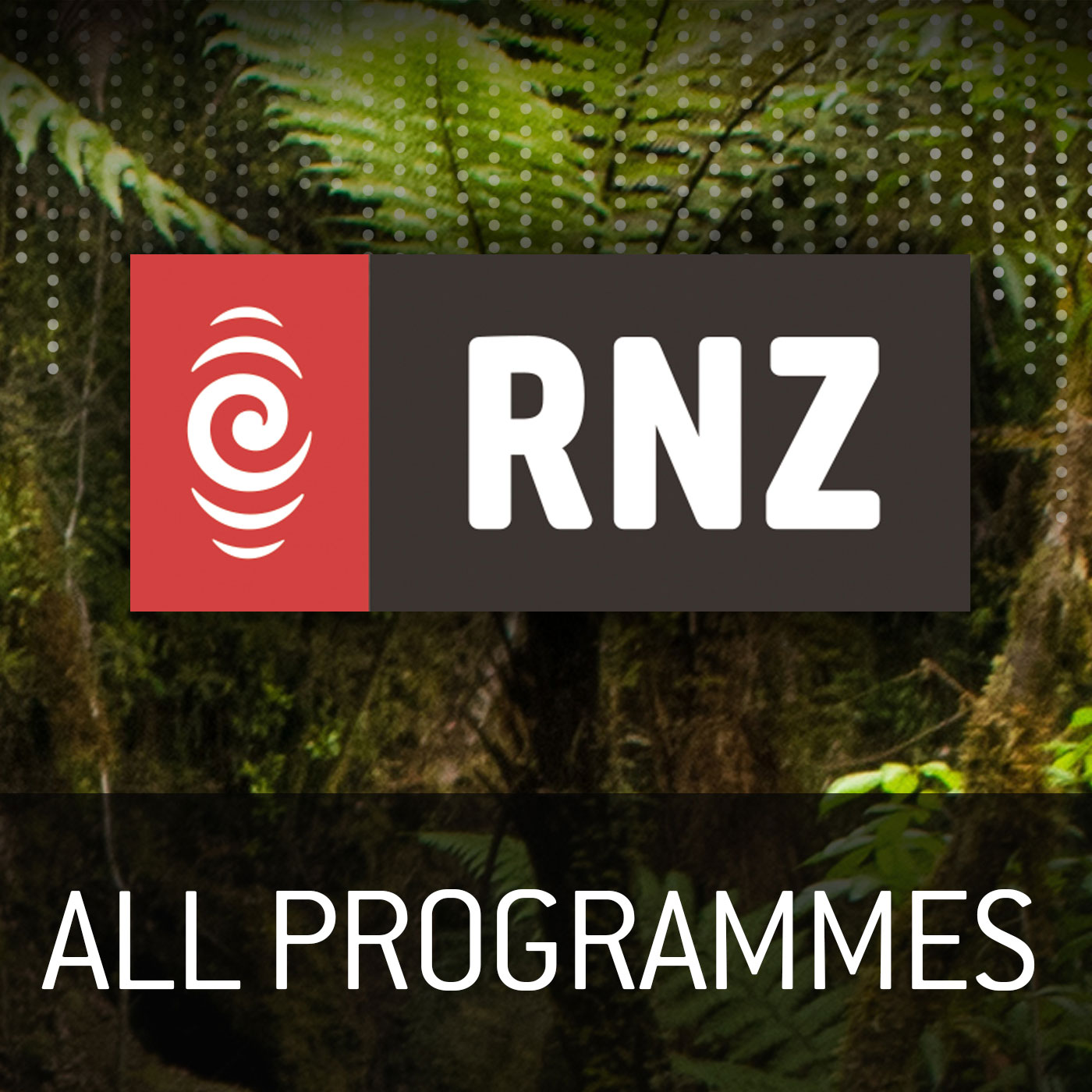 RNZ - All Programmes 