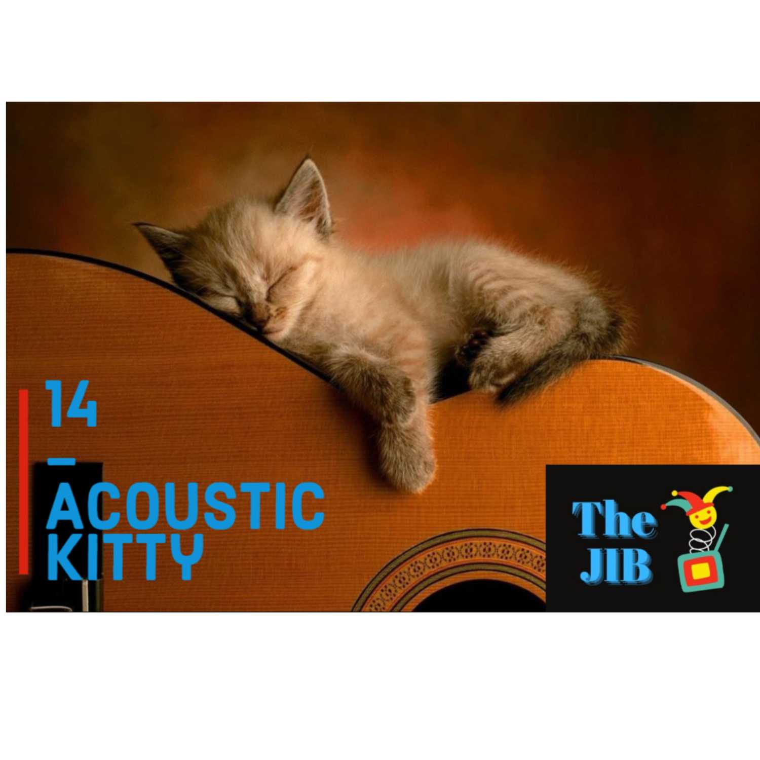 14 - Acoustic Kitty