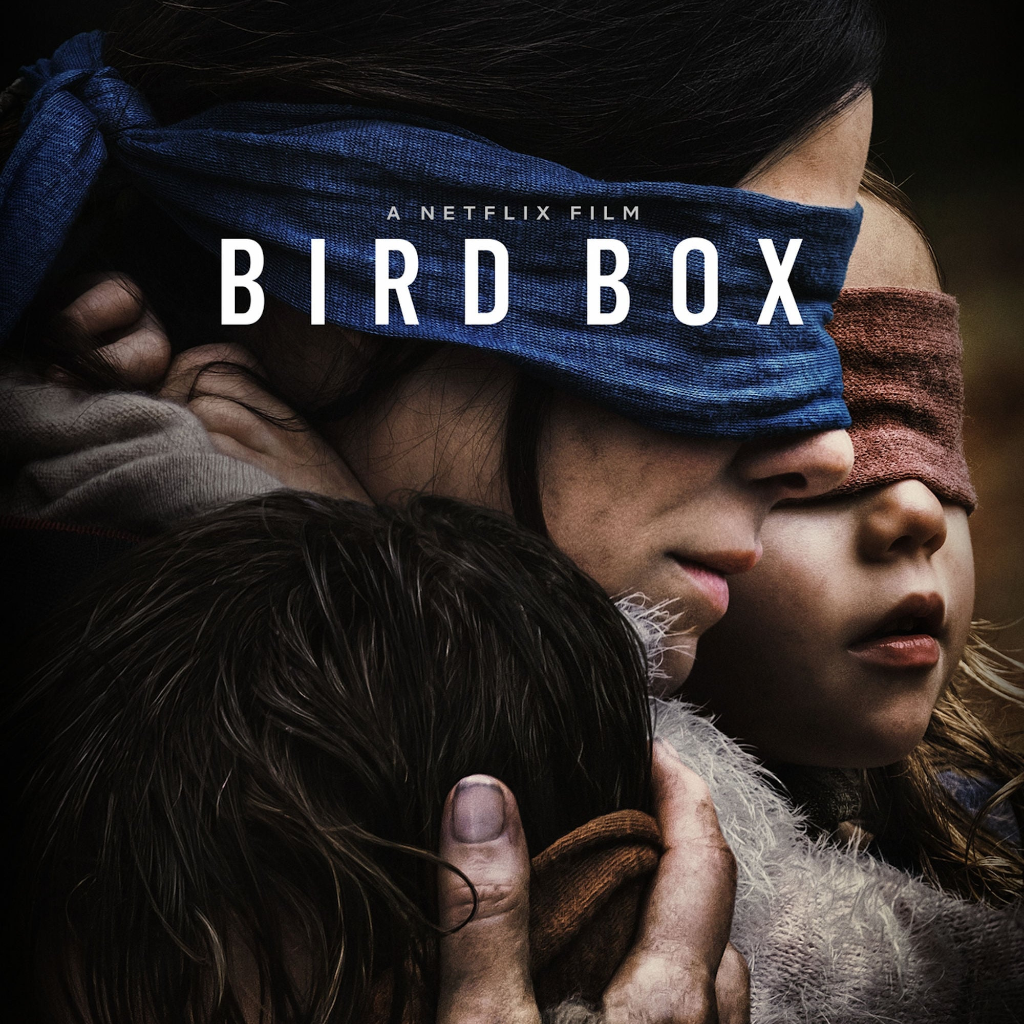 Bird Box