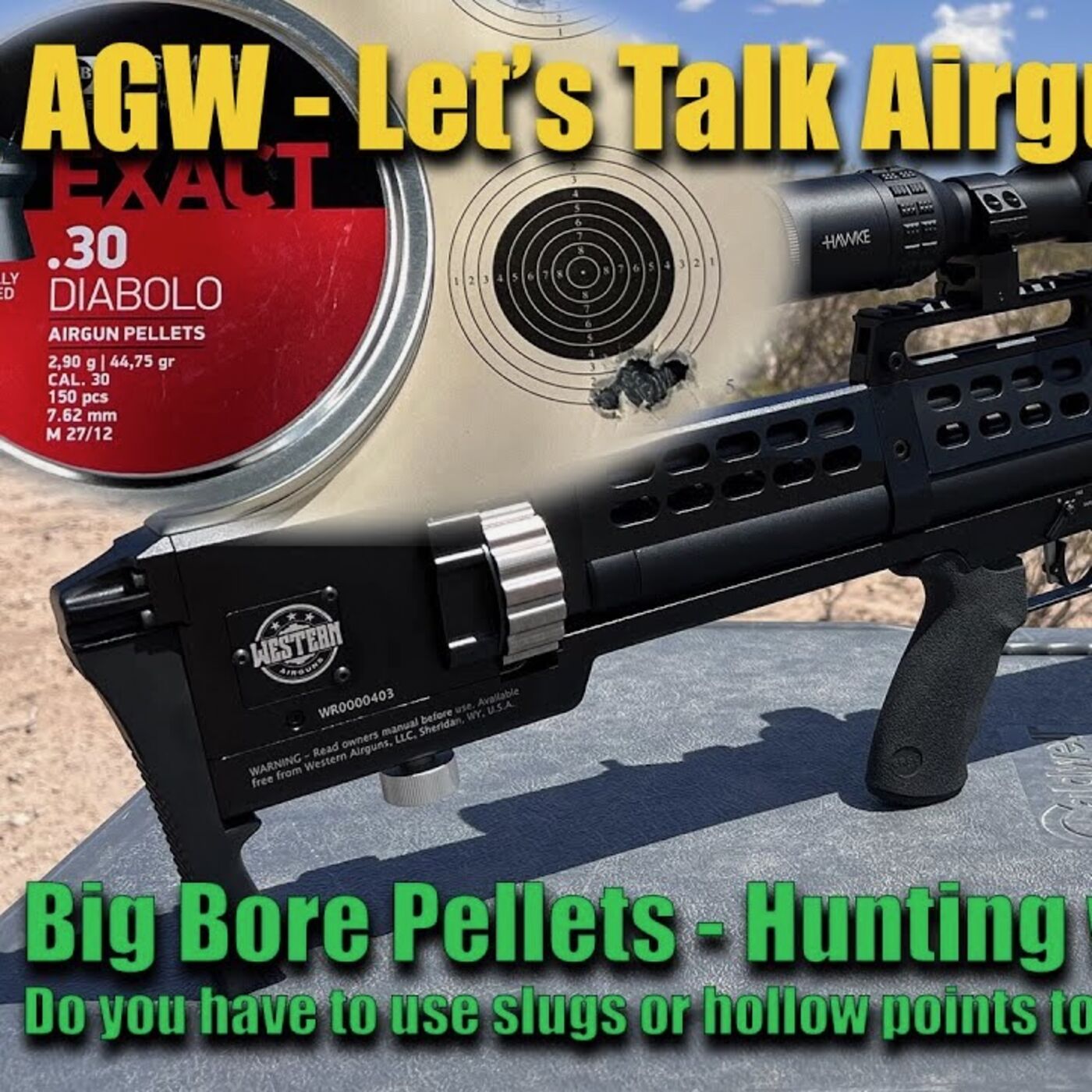 Let's Talk Airguns - Big Bore Pellets - Hunting Big Game with Power & Accuracy!