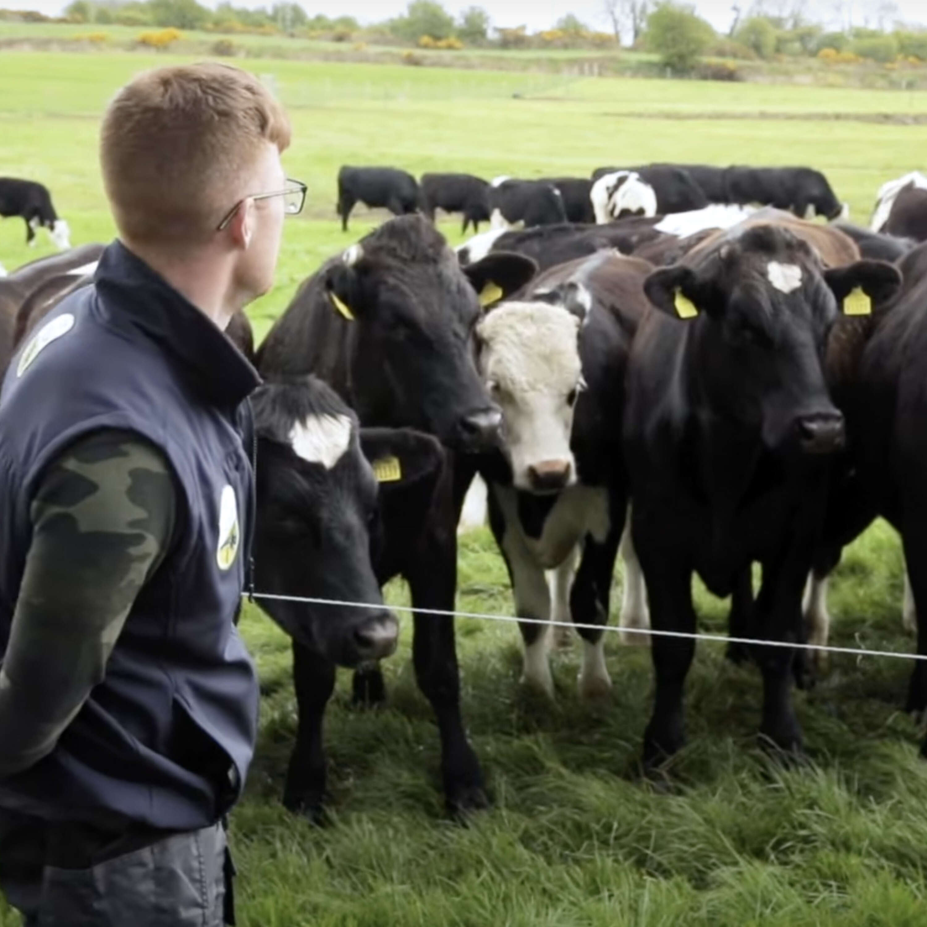 Grassland management & an update on the DairyBeef500 programme