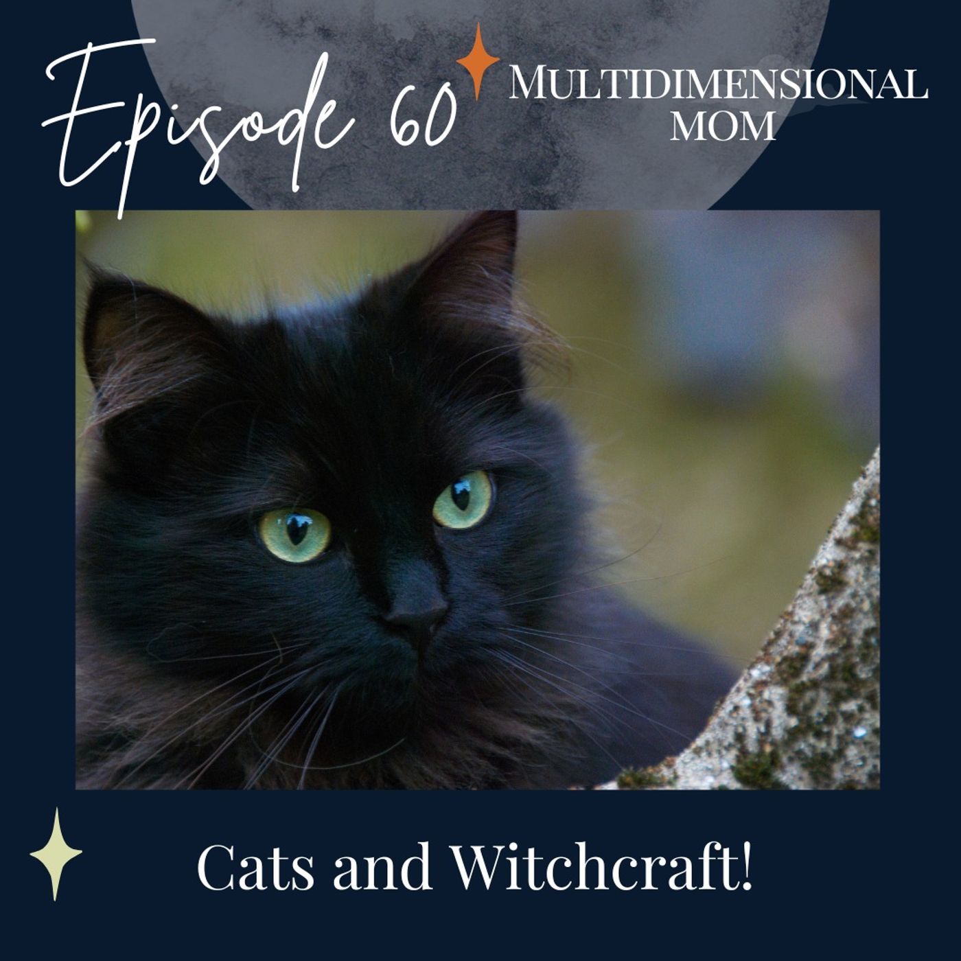 Cats and Witchcraft!