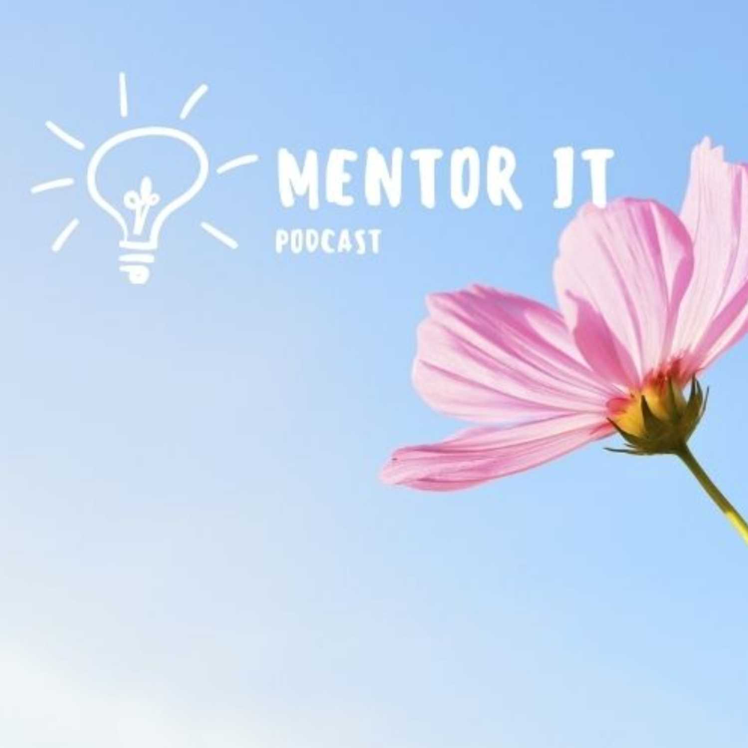 Help Mentor IT 