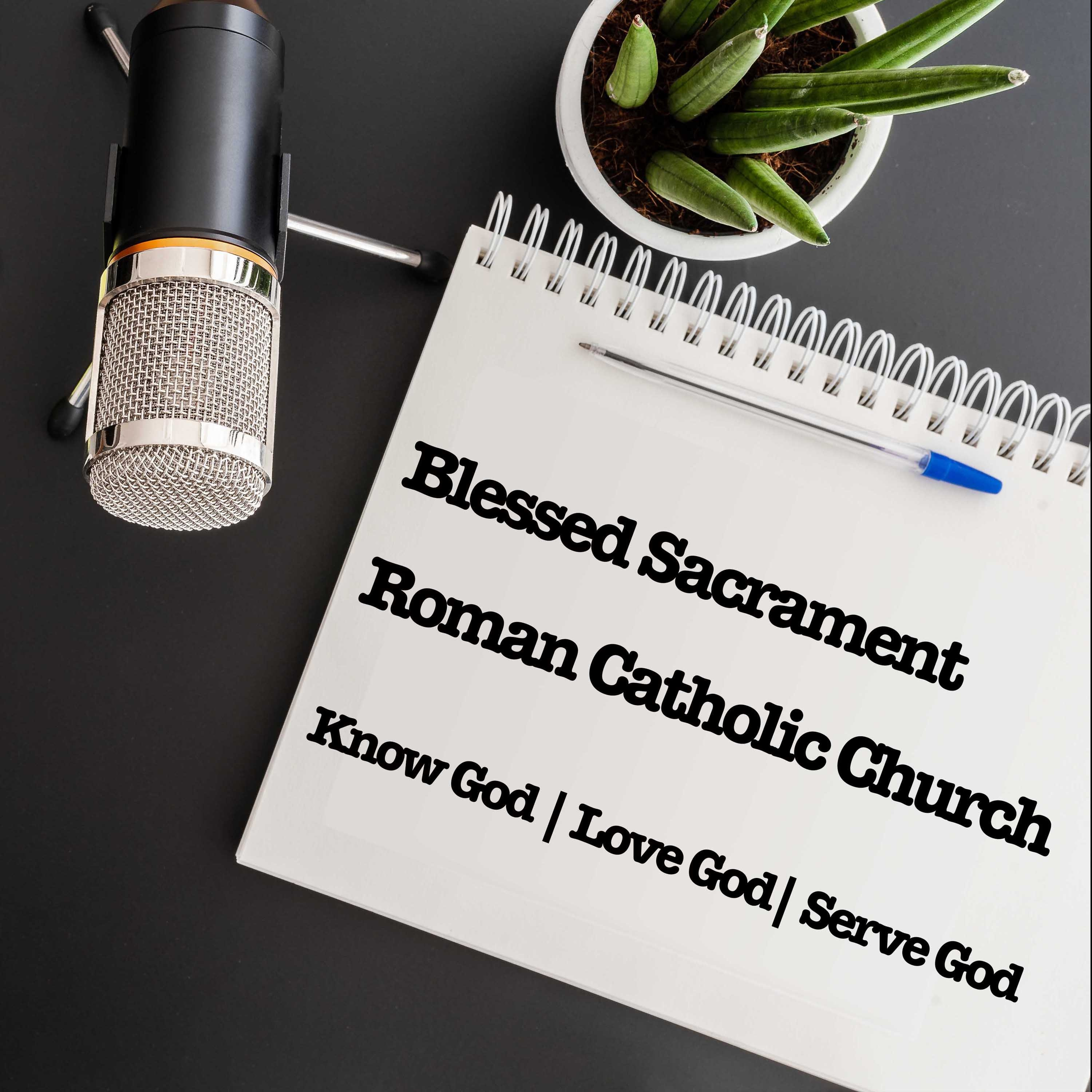 Homily 15th Sunday of Ordinary Time 2023 Deacon Bob Evans