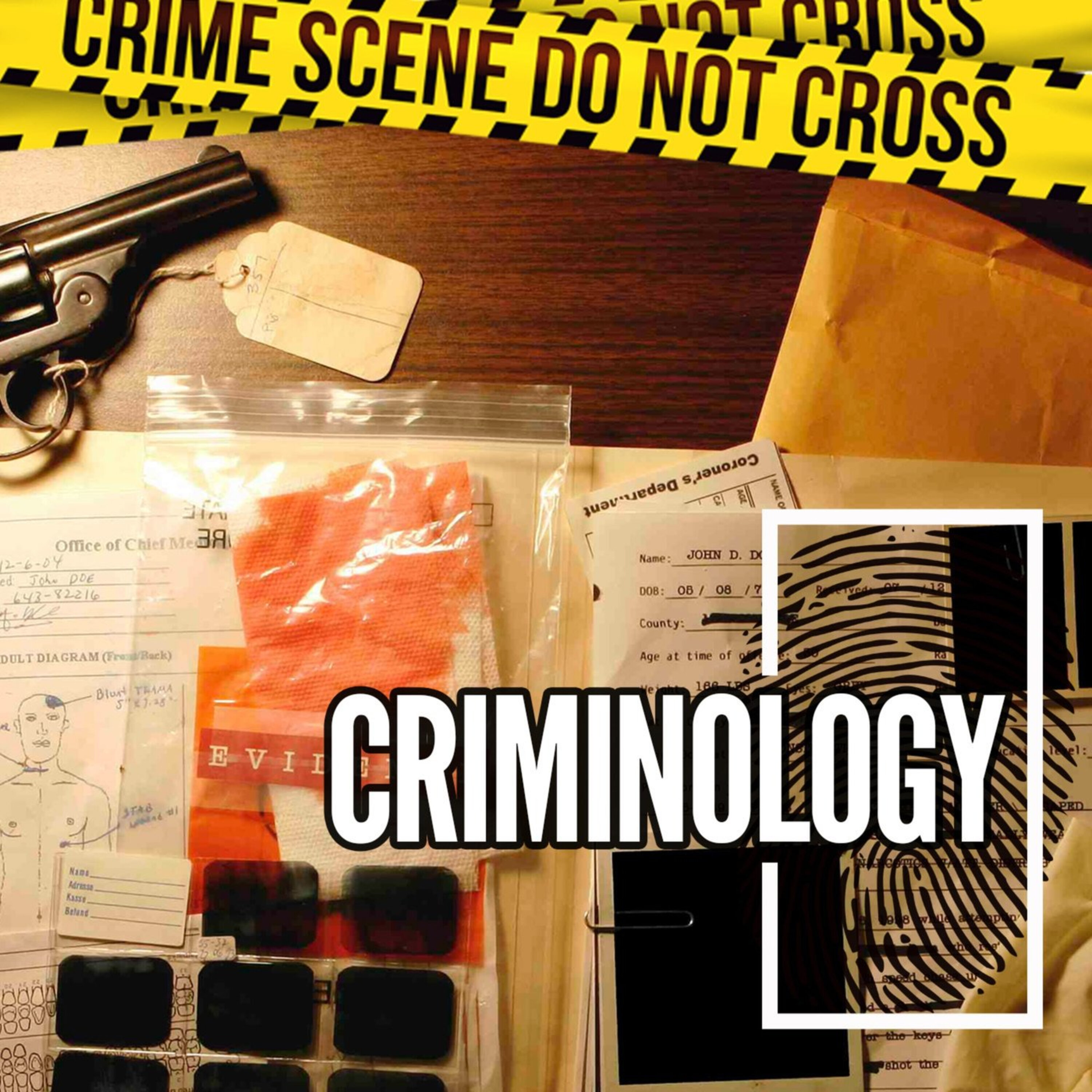 Criminology 